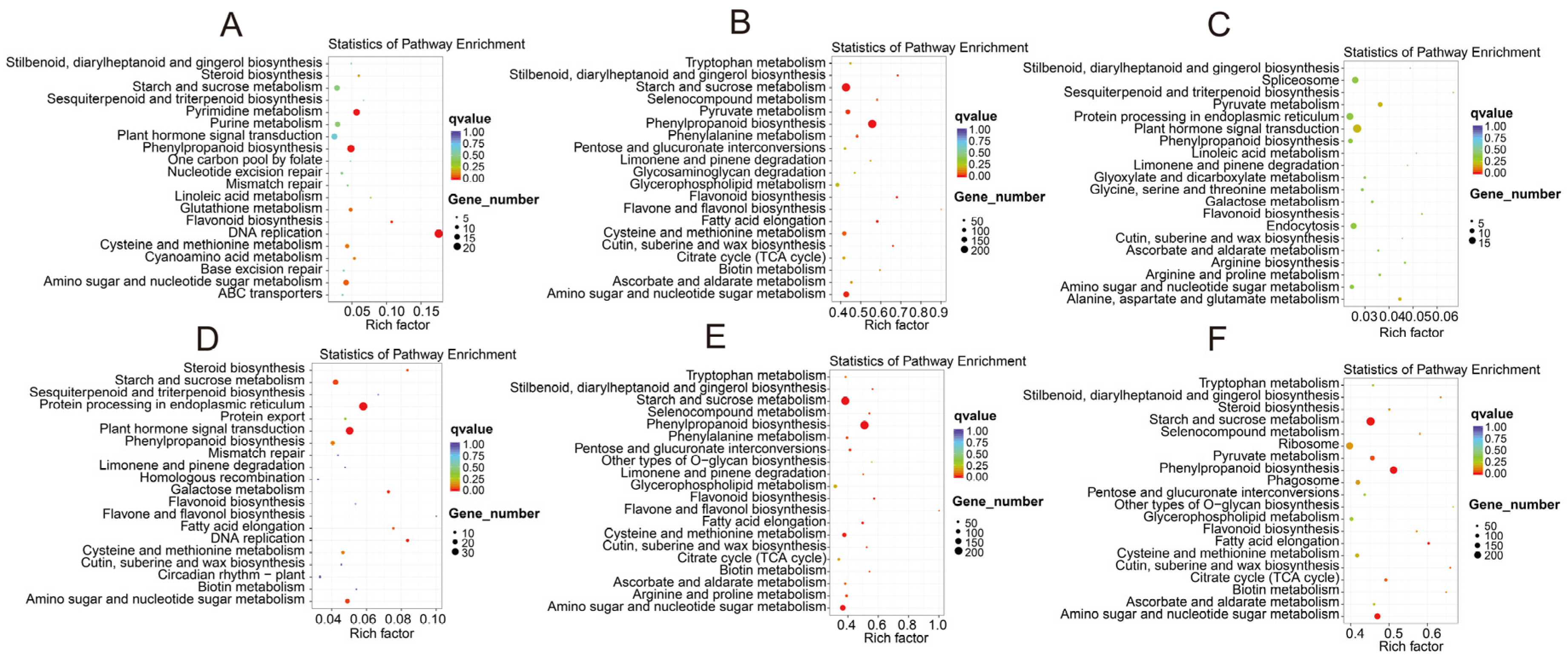 Biomolecules 12 01264 g007 Biomolecules 12 01264 g007