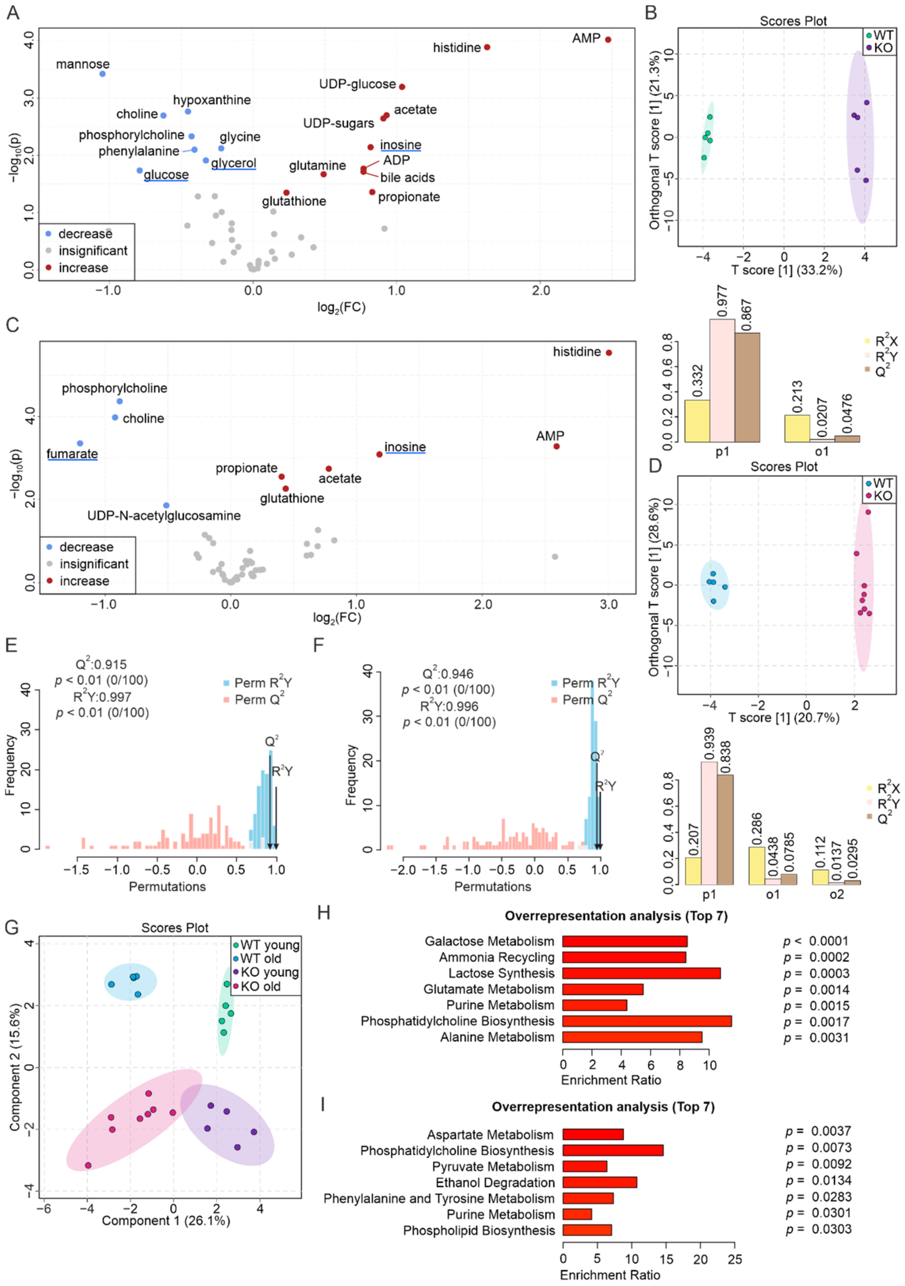 Biomolecules 12 01270 g001 Biomolecules 12 01270 g001