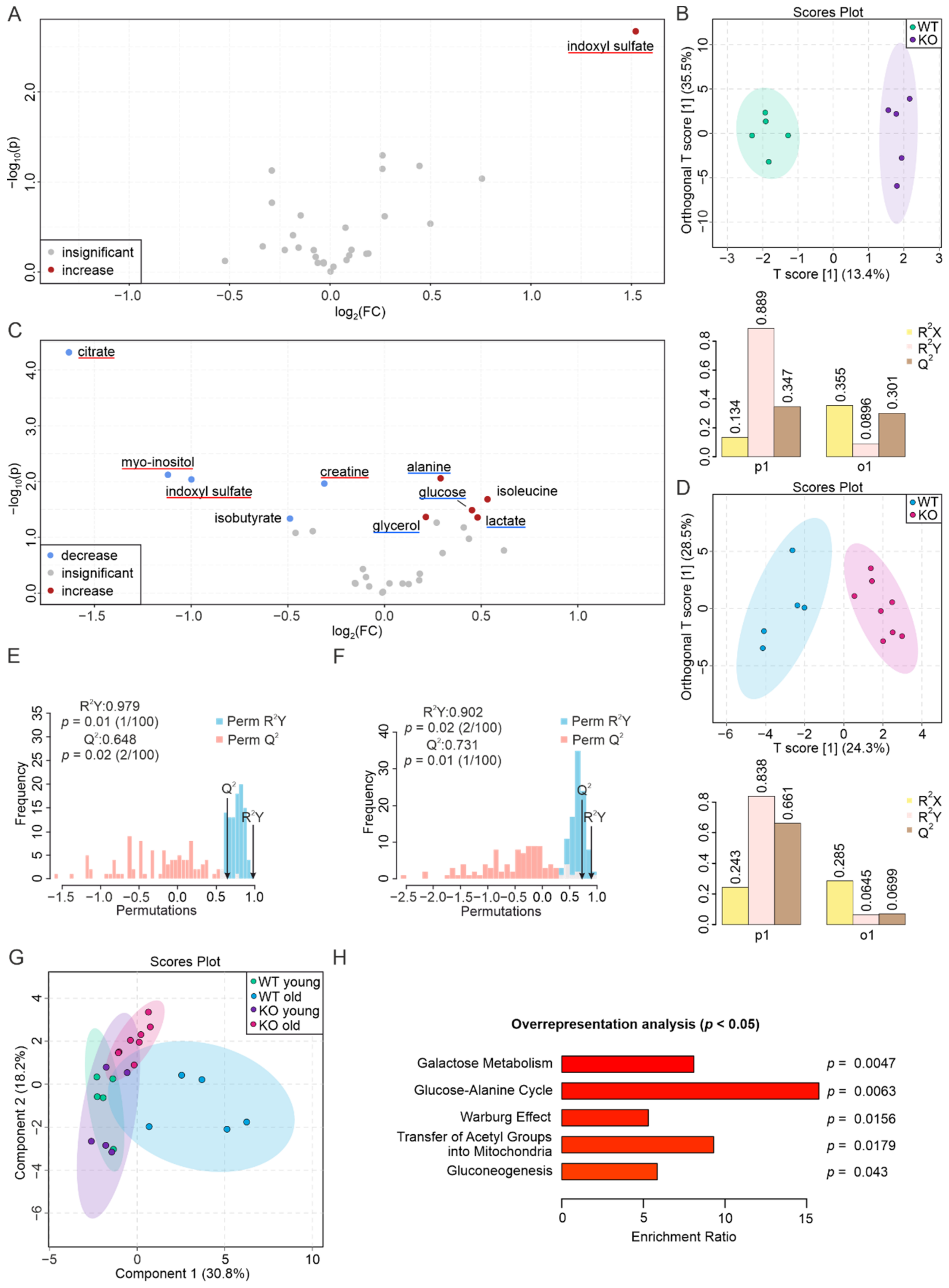 Biomolecules 12 01270 g002 Biomolecules 12 01270 g002