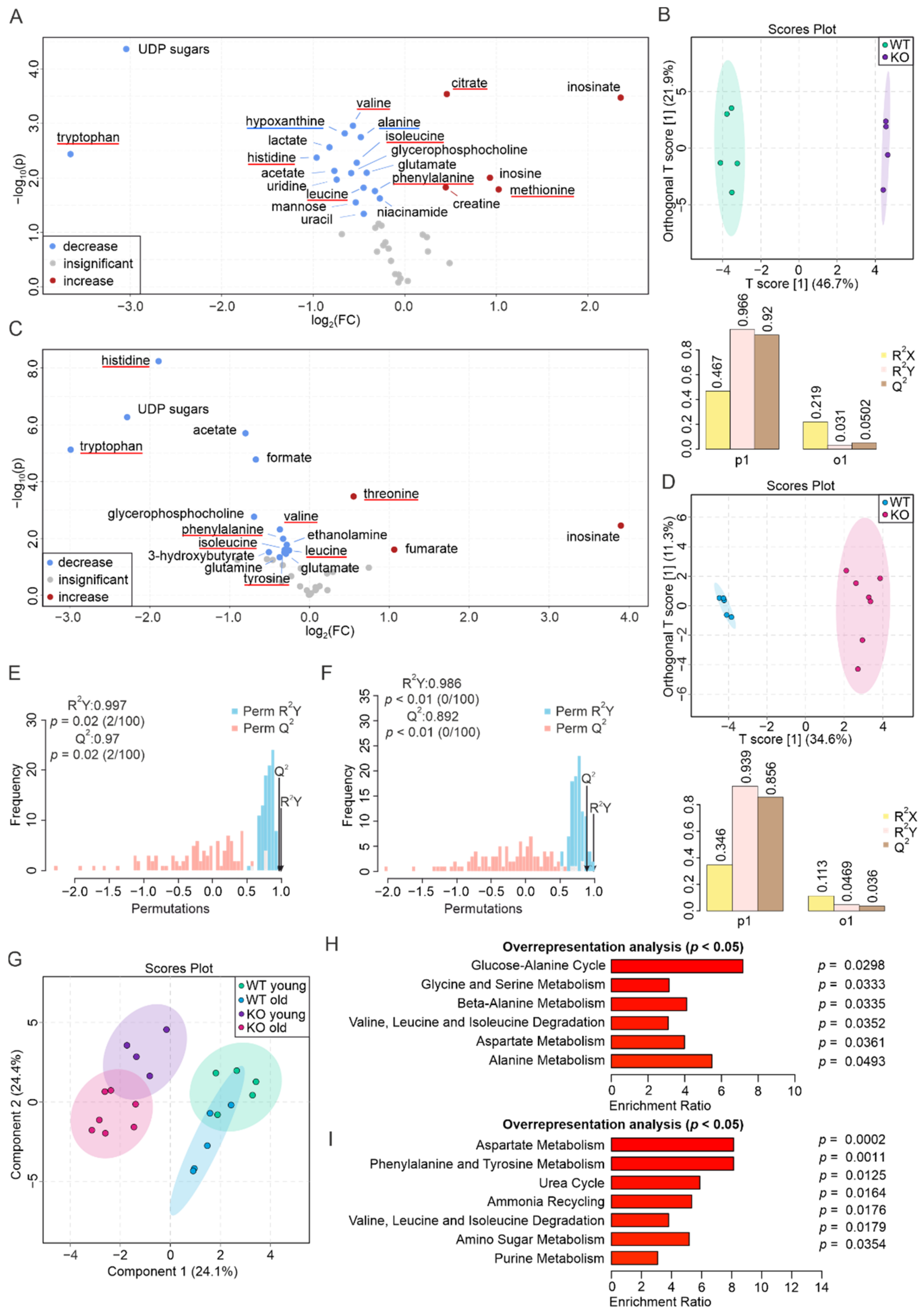 Biomolecules 12 01270 g004 Biomolecules 12 01270 g004