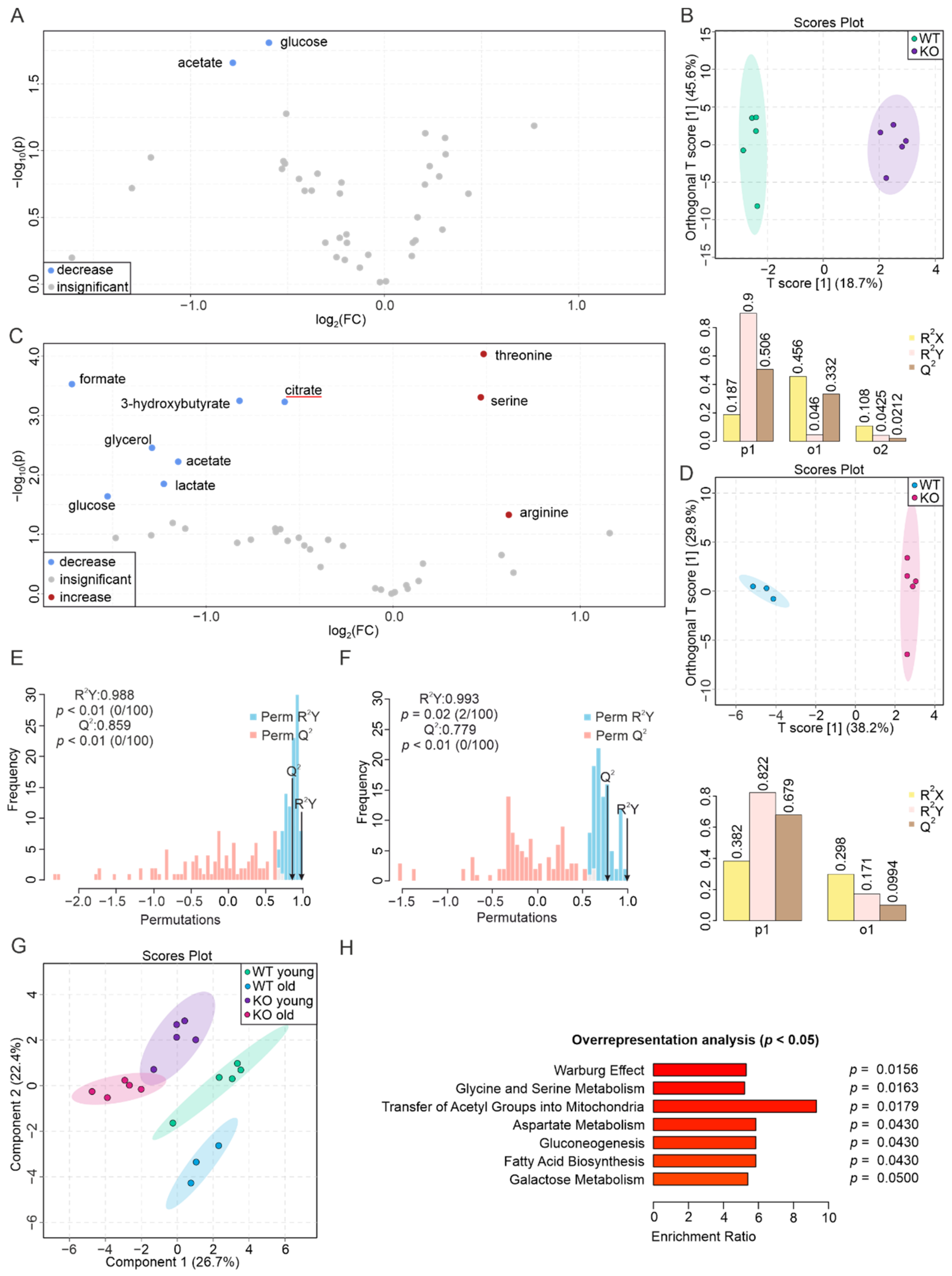 Biomolecules 12 01270 g005 Biomolecules 12 01270 g005