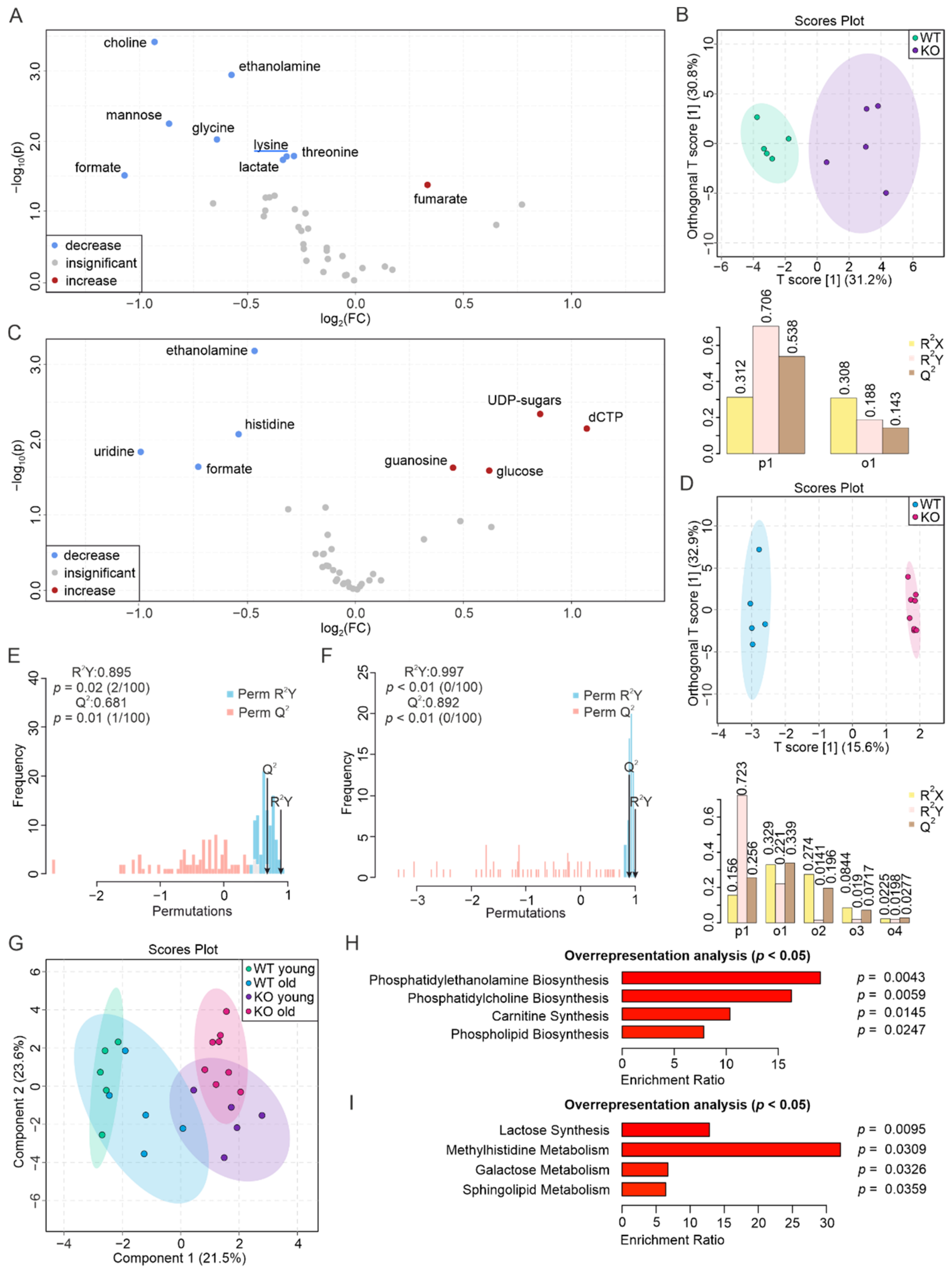 Biomolecules 12 01270 g006 Biomolecules 12 01270 g006