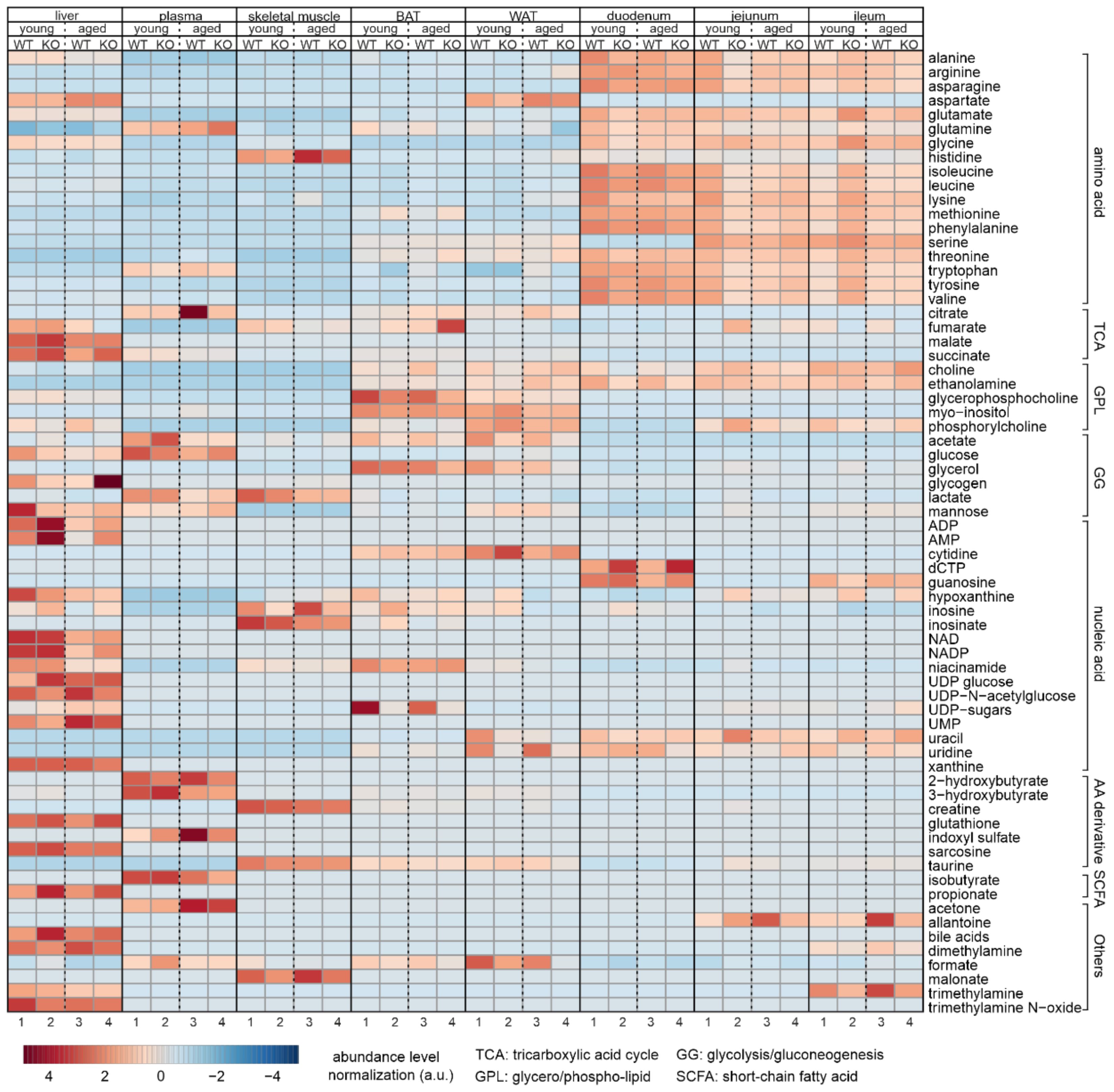 Biomolecules 12 01270 g009 Biomolecules 12 01270 g009