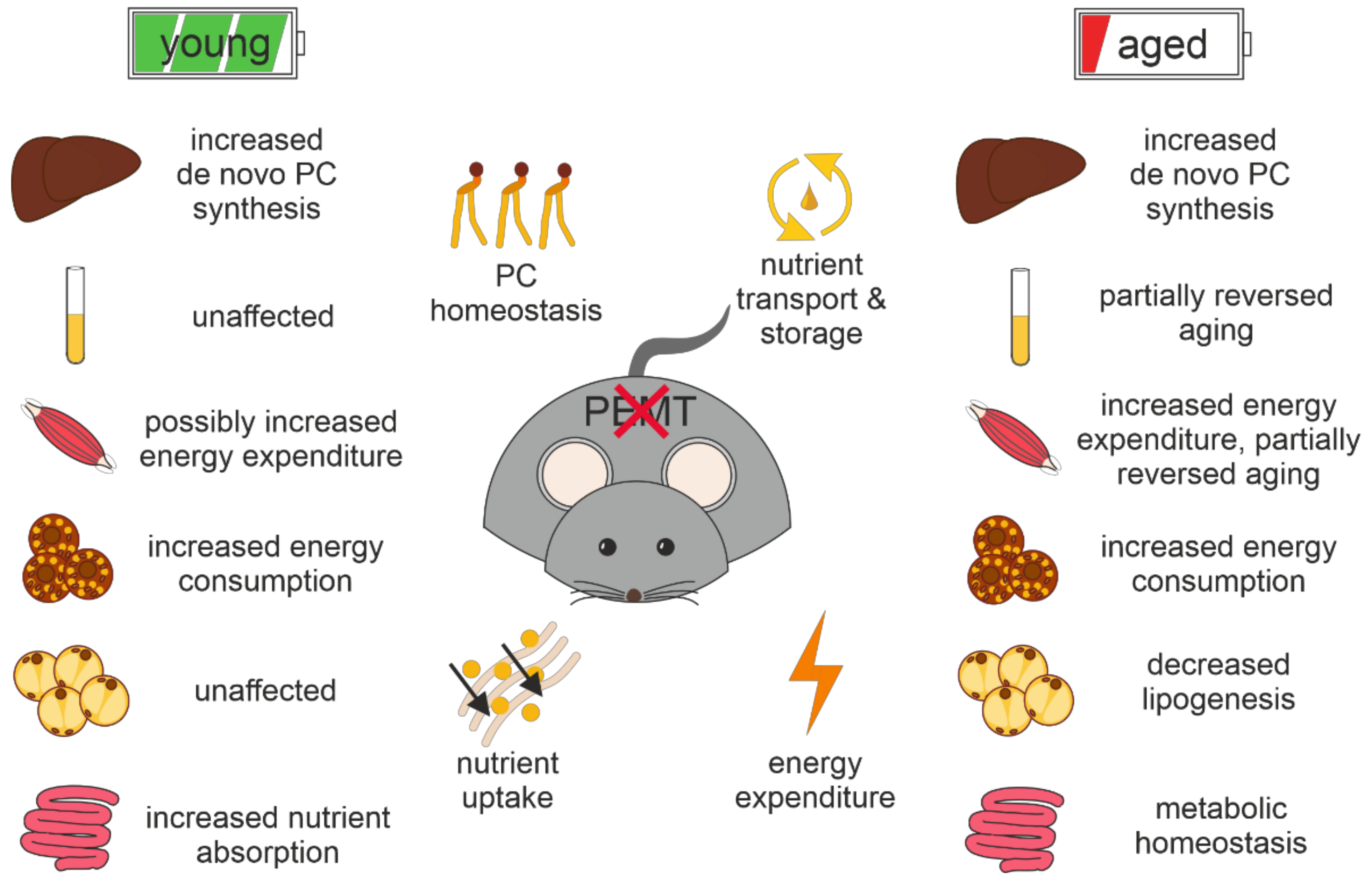 Biomolecules 12 01270 g010 Biomolecules 12 01270 g010