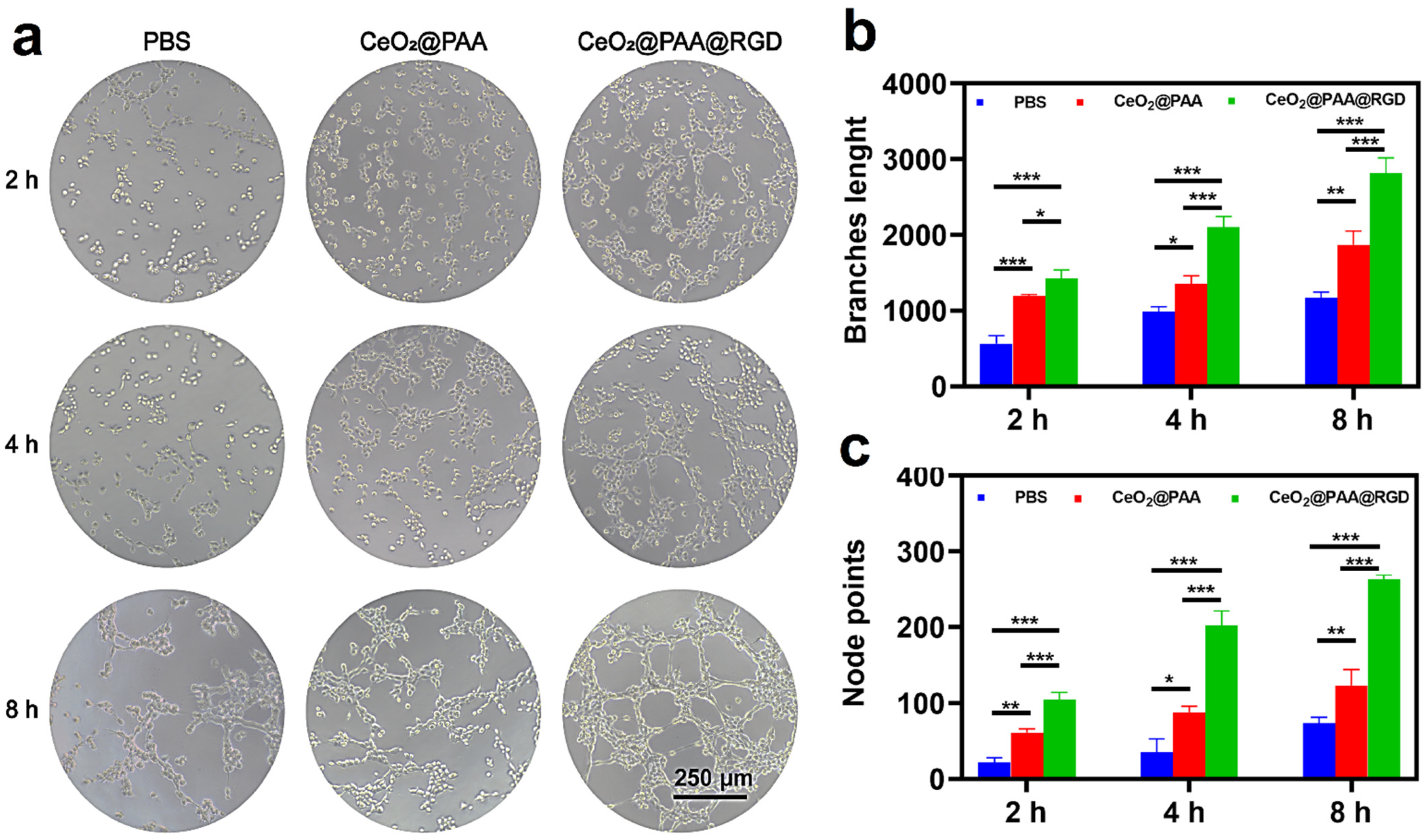Biomolecules 12 01277 g005