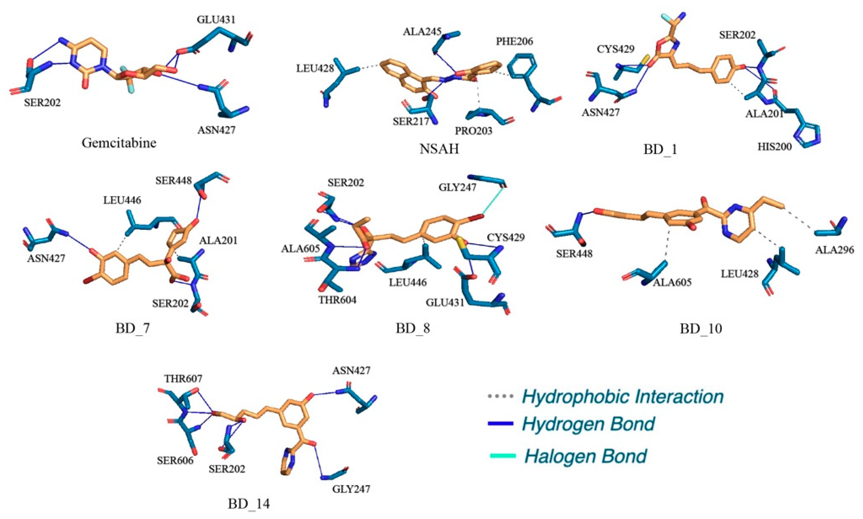 Biomolecules 12 01279 g012