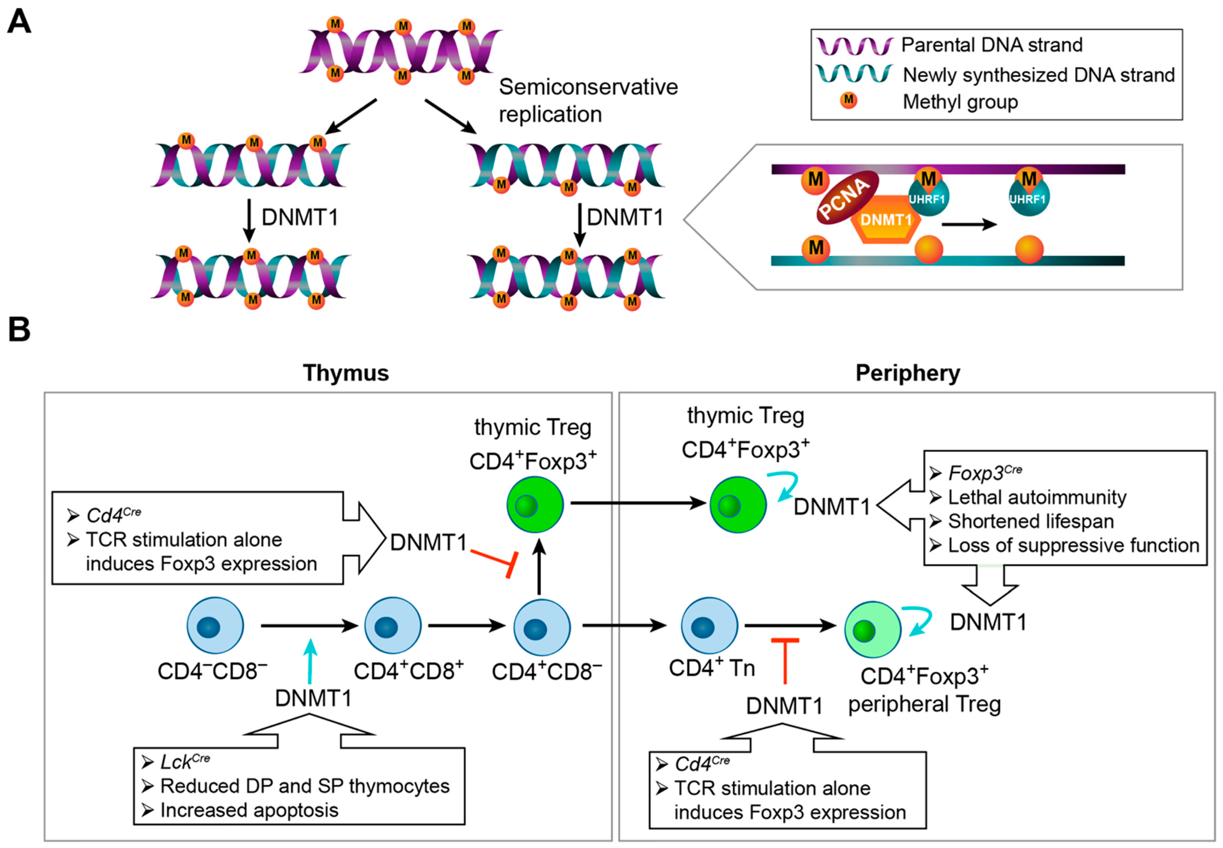 Biomolecules 12 01282 g002
