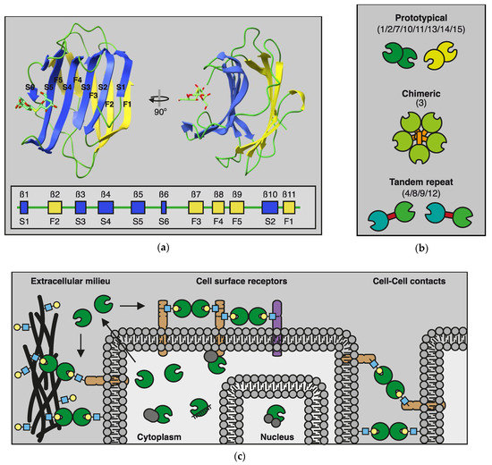 Biomolecules 12 01286 g002