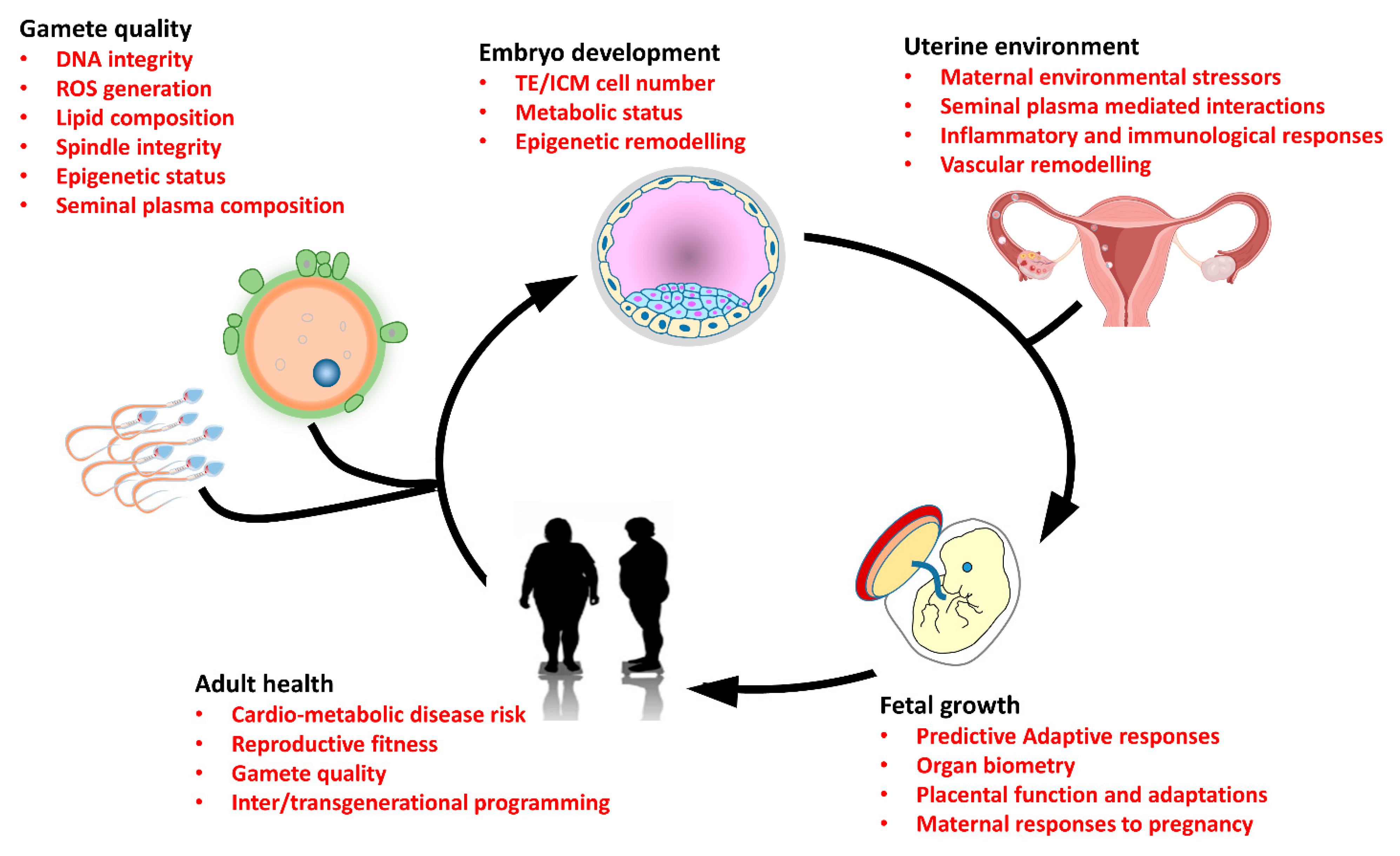 Biomolecules 12 01289 g001