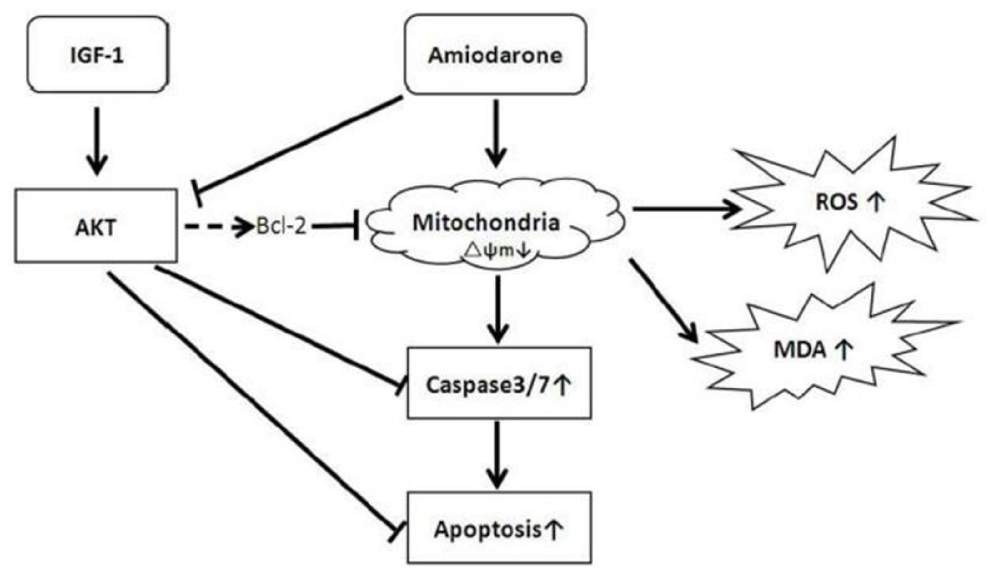 Biomolecules 12 01298 g004