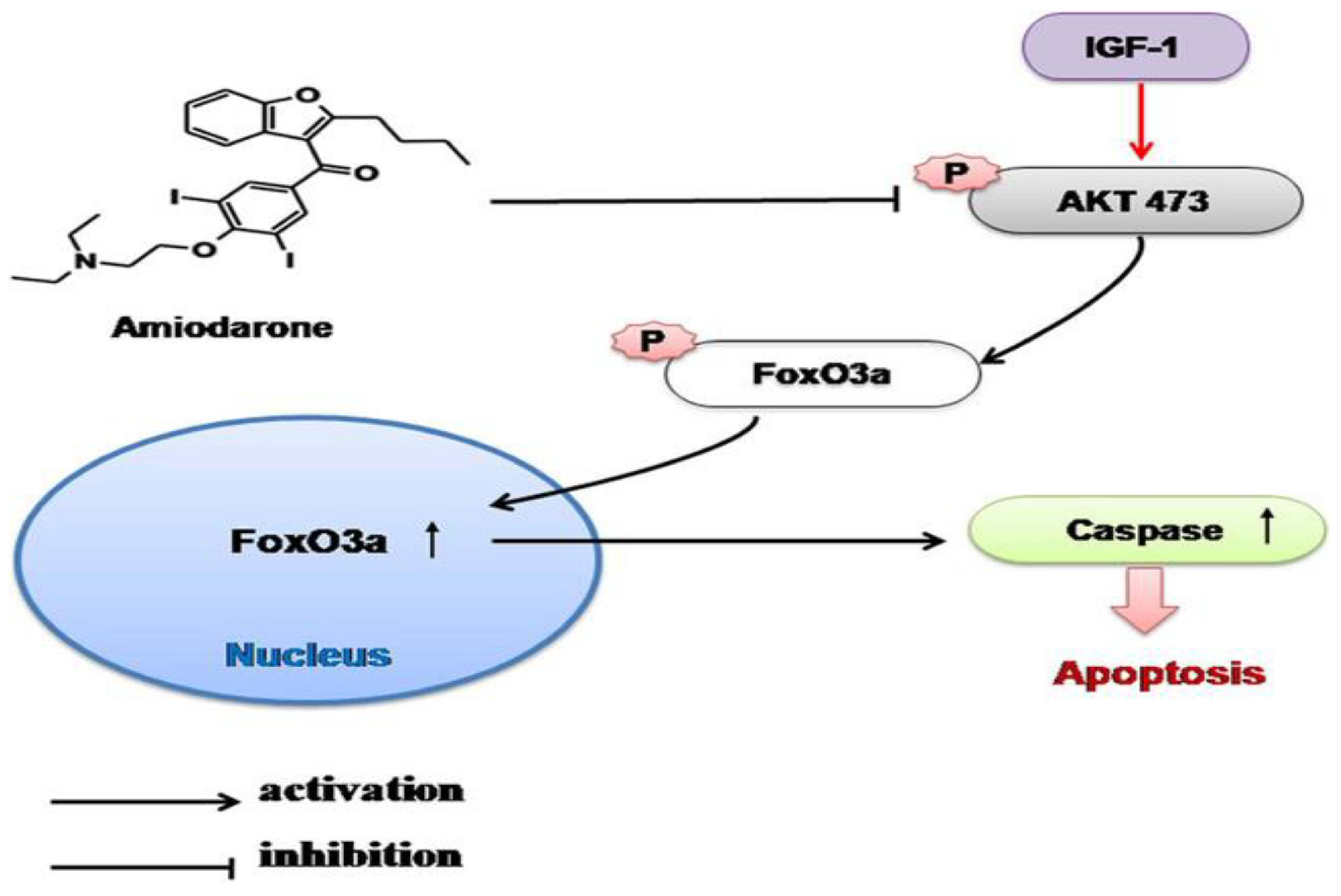 Biomolecules 12 01298 g009