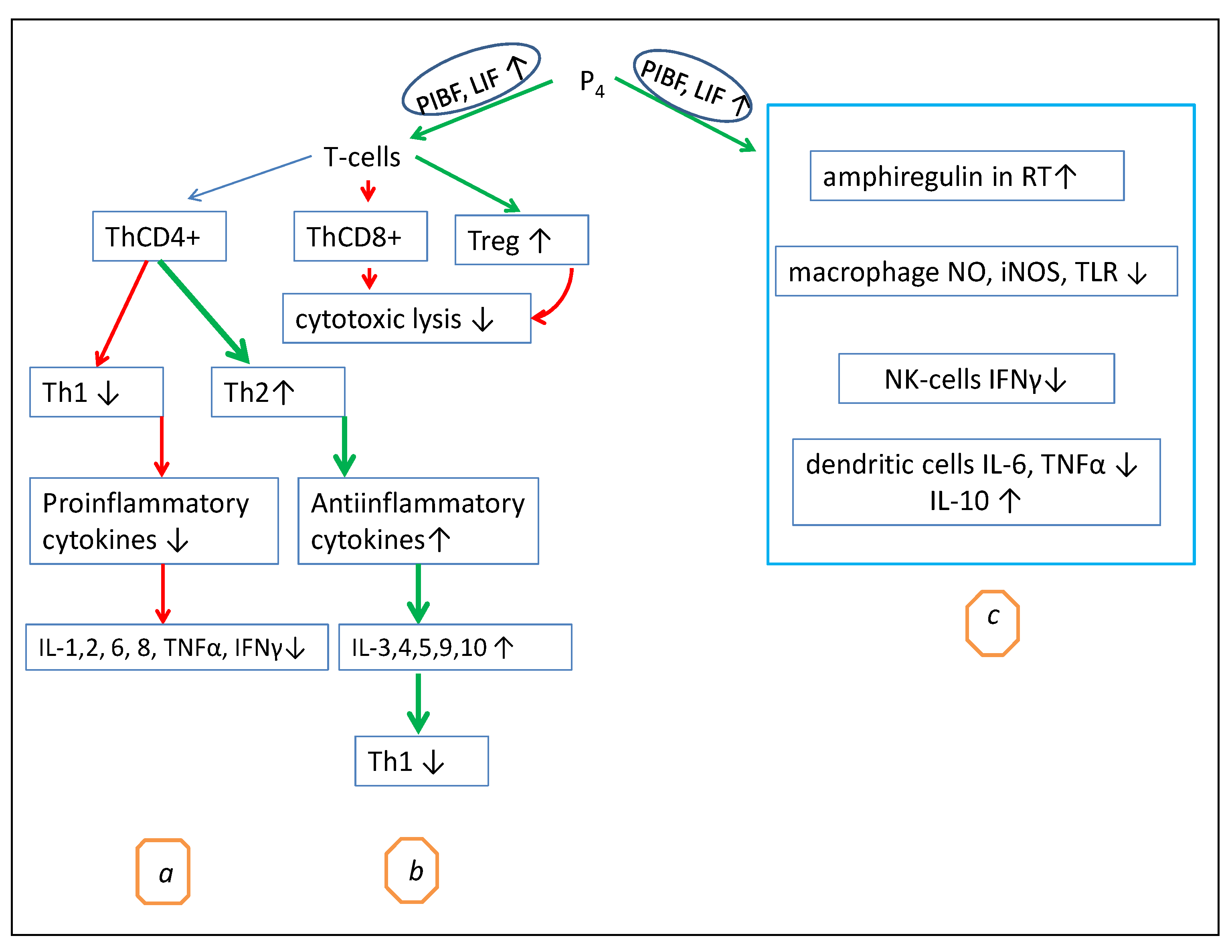 Biomolecules 12 01299 g001 Biomolecules 12 01299 g001