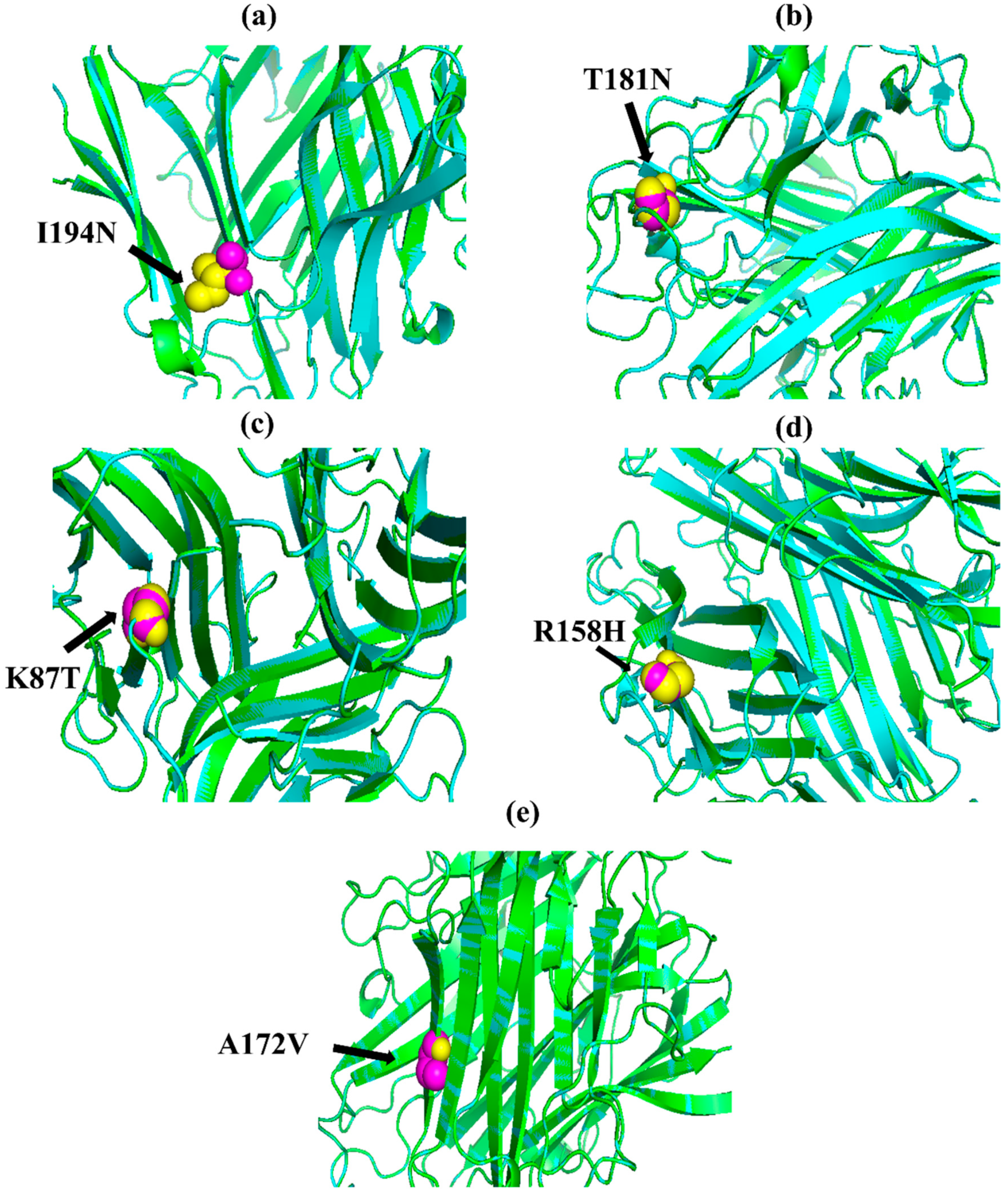 Biomolecules 12 01307 g001 Biomolecules 12 01307 g001