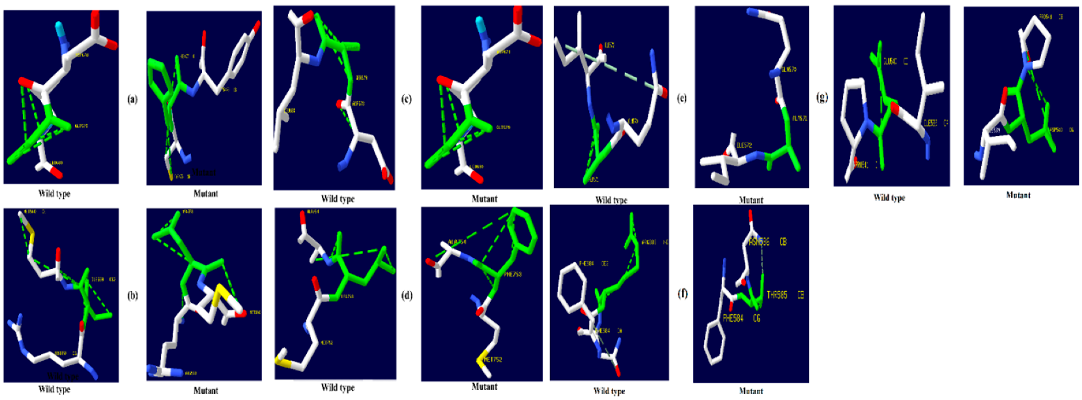 Biomolecules 12 01307 g005 Biomolecules 12 01307 g005
