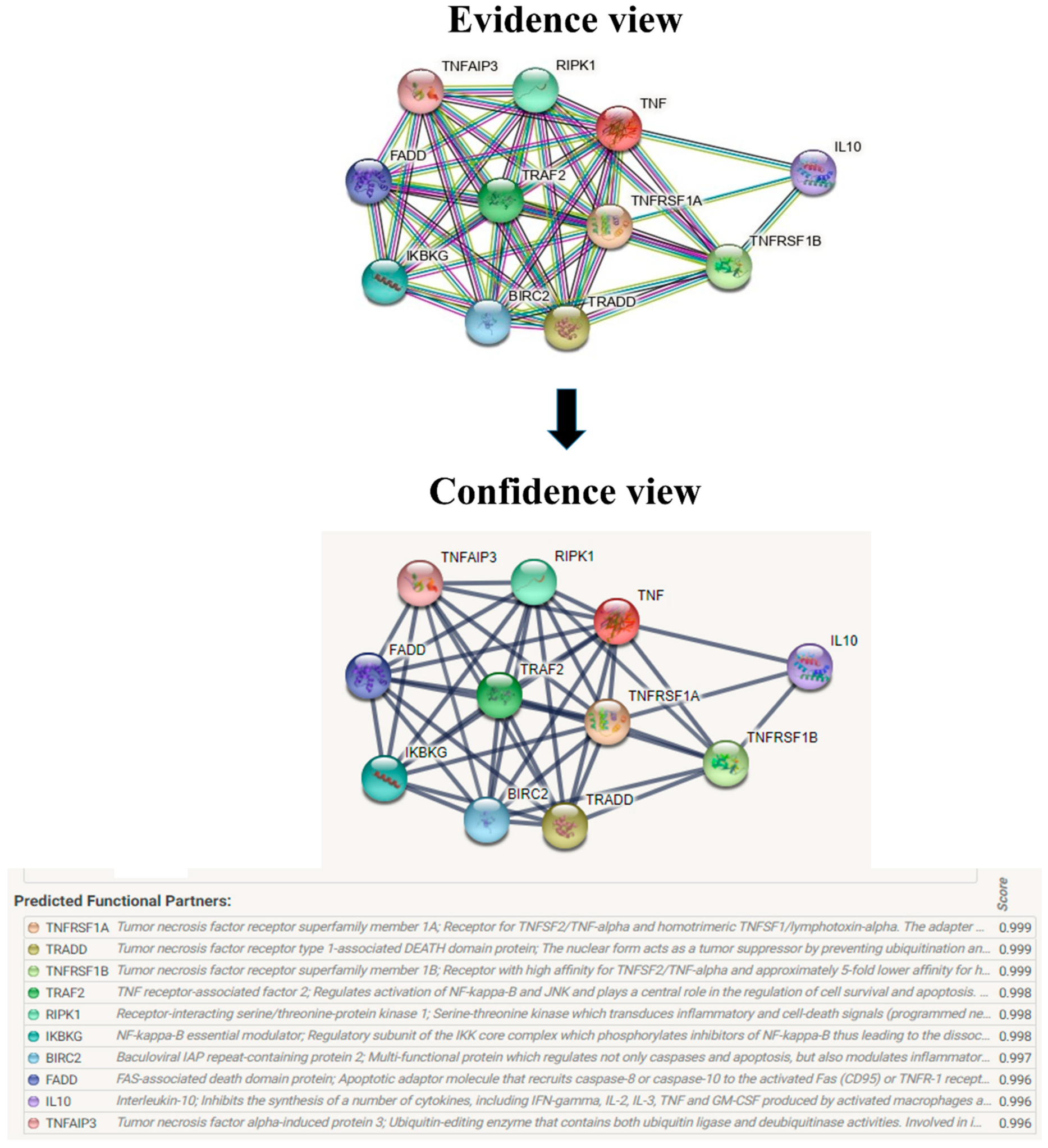 Biomolecules 12 01307 g010 Biomolecules 12 01307 g010
