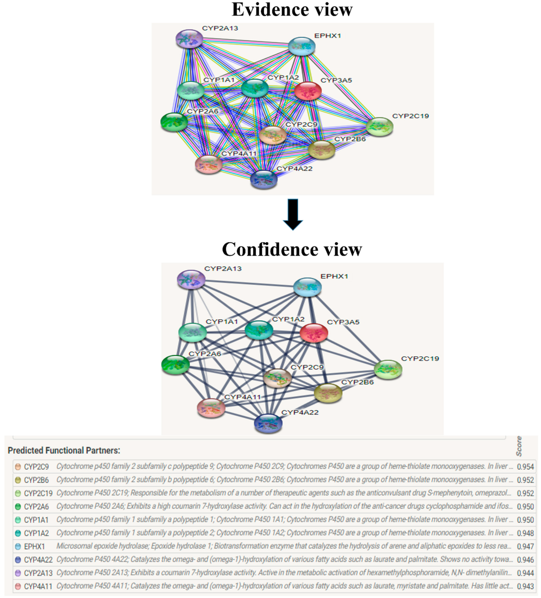 Biomolecules 12 01307 g012 Biomolecules 12 01307 g012