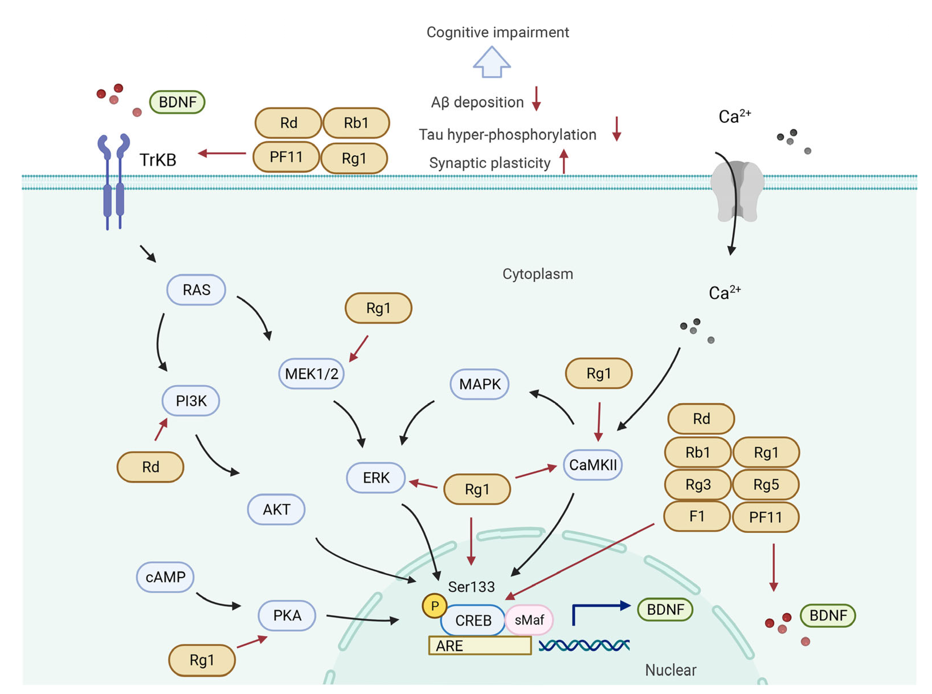 Biomolecules 12 01310 g004