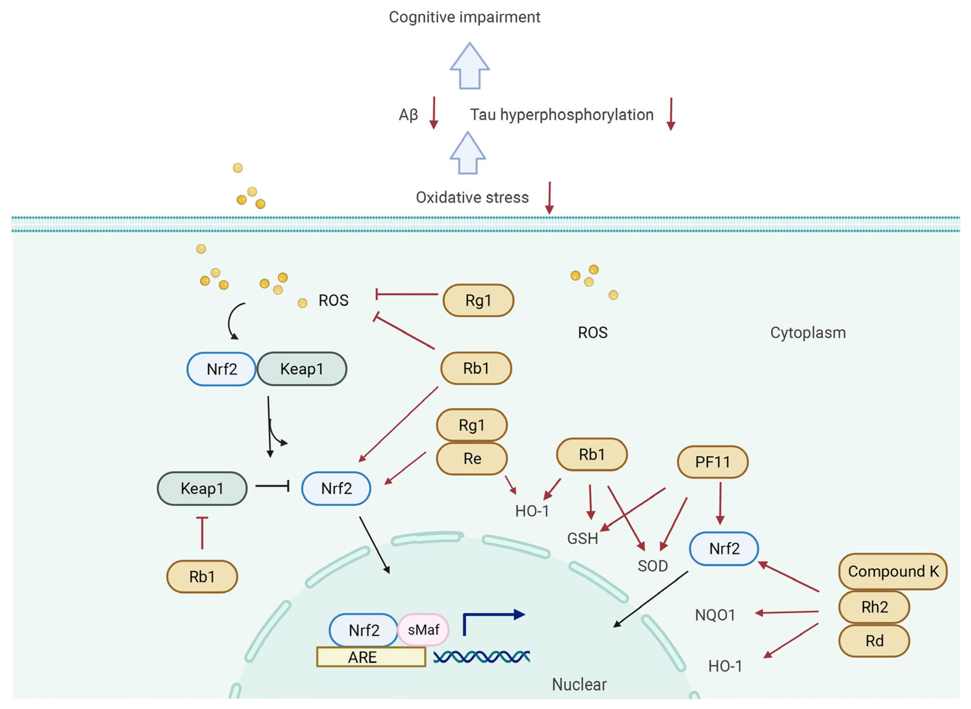 Biomolecules 12 01310 g005