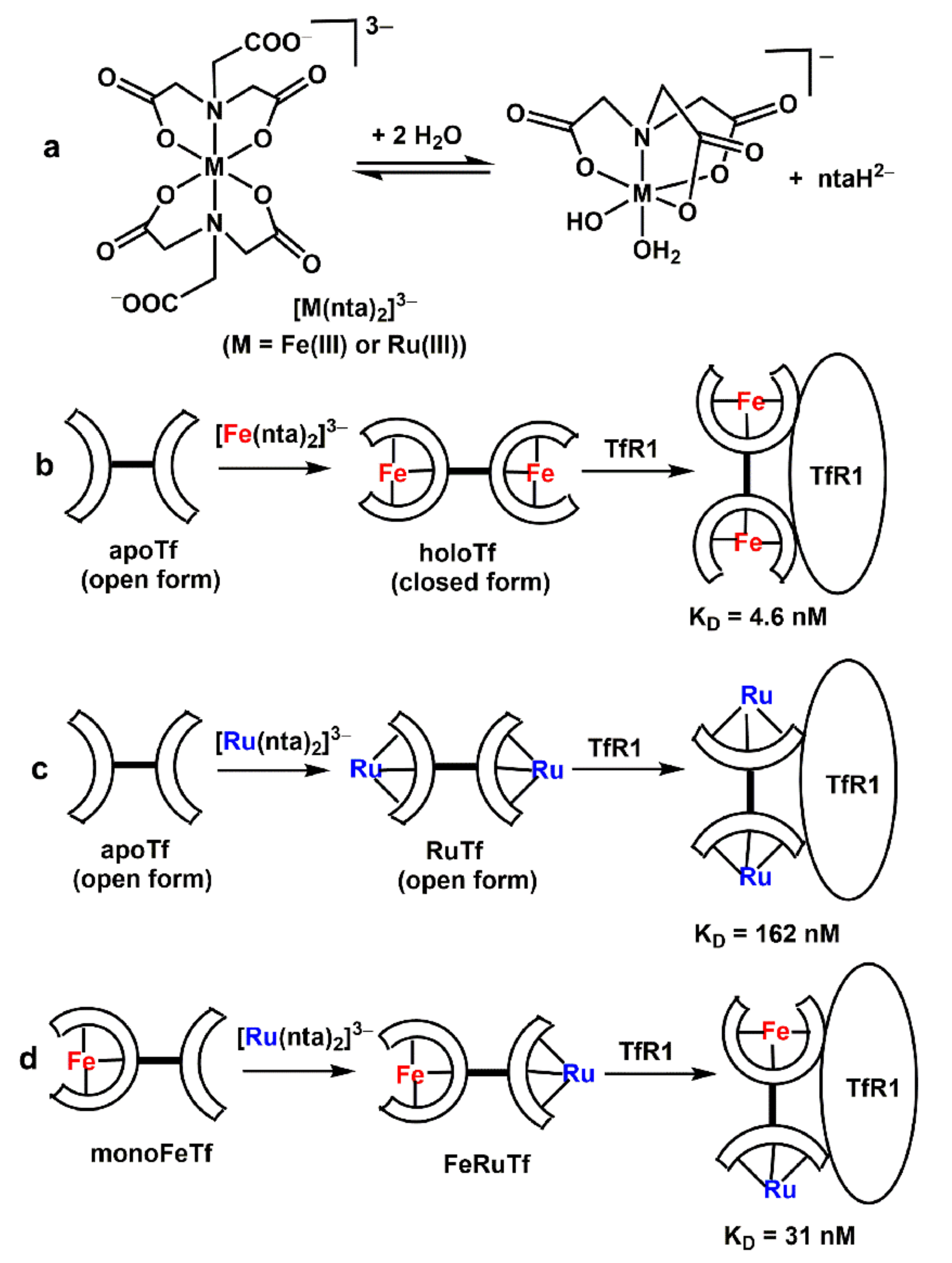 Biomolecules 12 01319 sch001