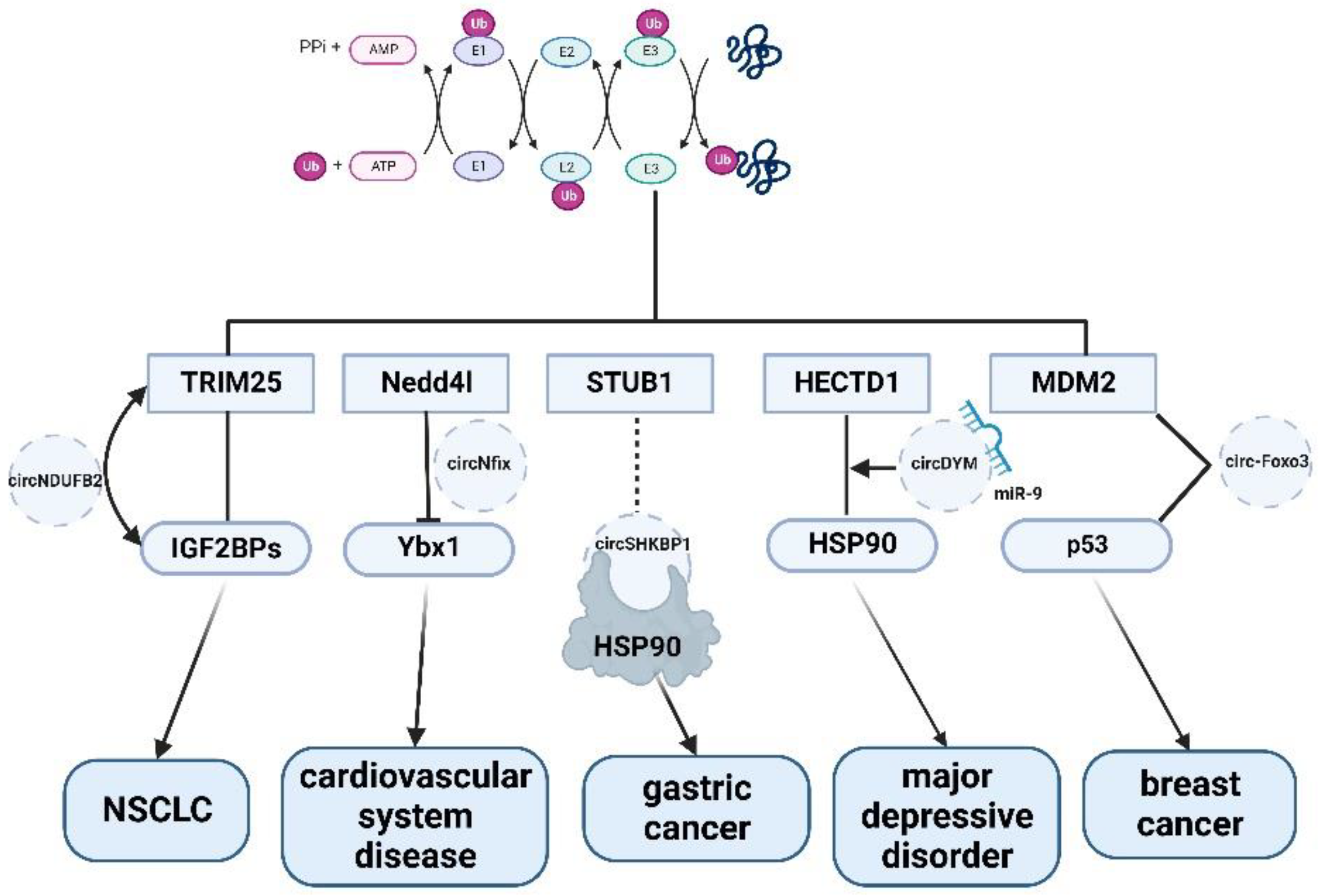 Biomolecules 12 01320 g001
