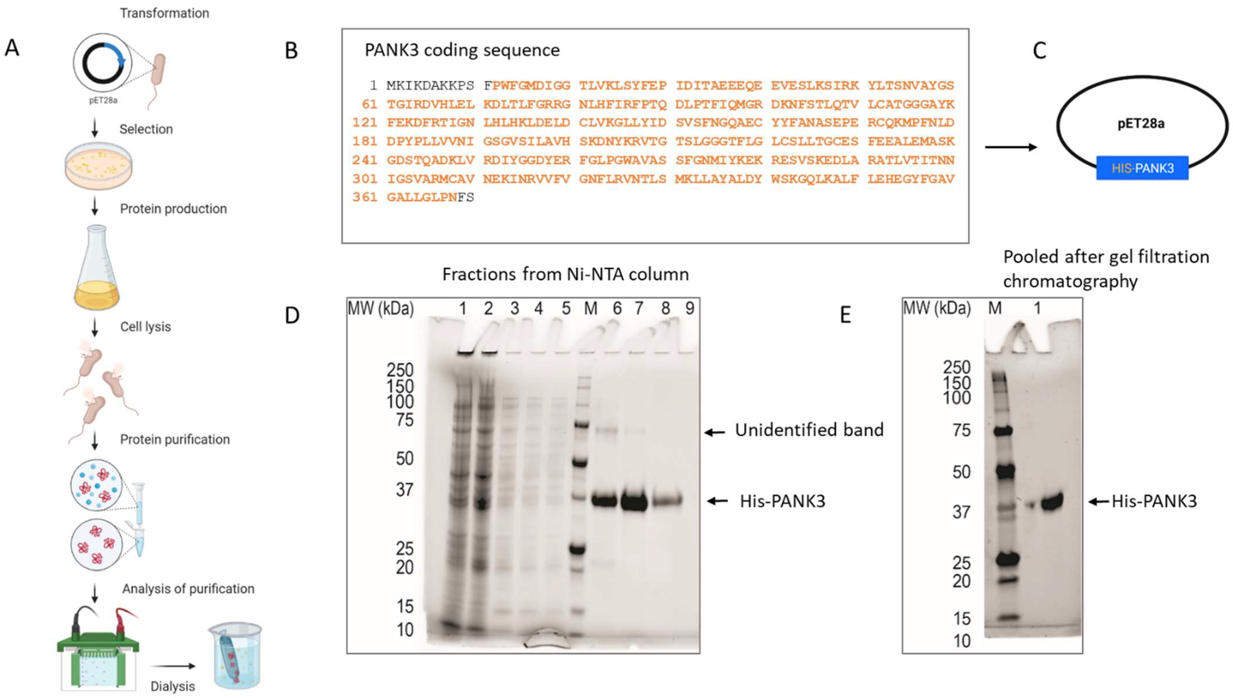 Biomolecules 12 01323 g002 Biomolecules 12 01323 g002