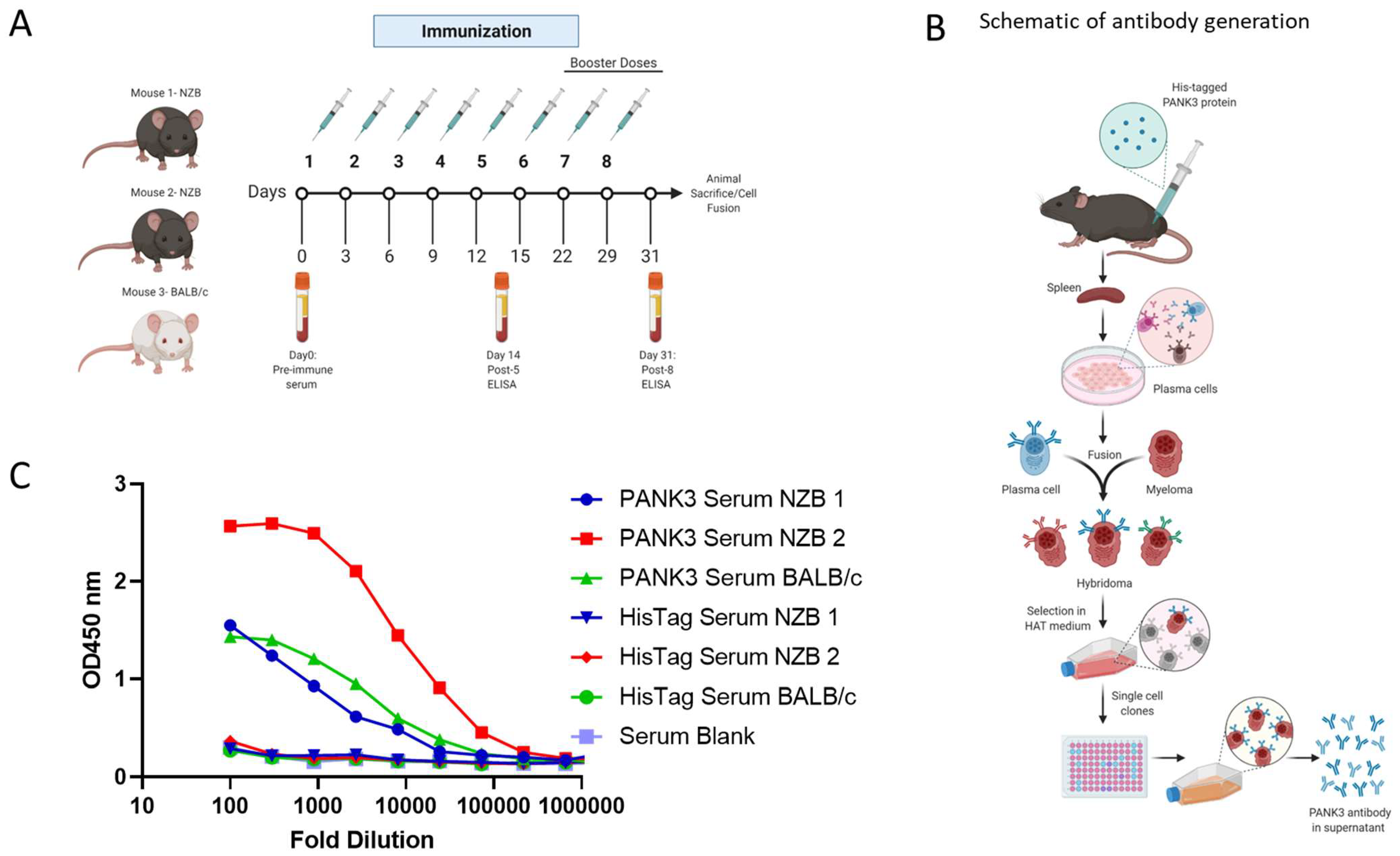 Biomolecules 12 01323 g003 Biomolecules 12 01323 g003