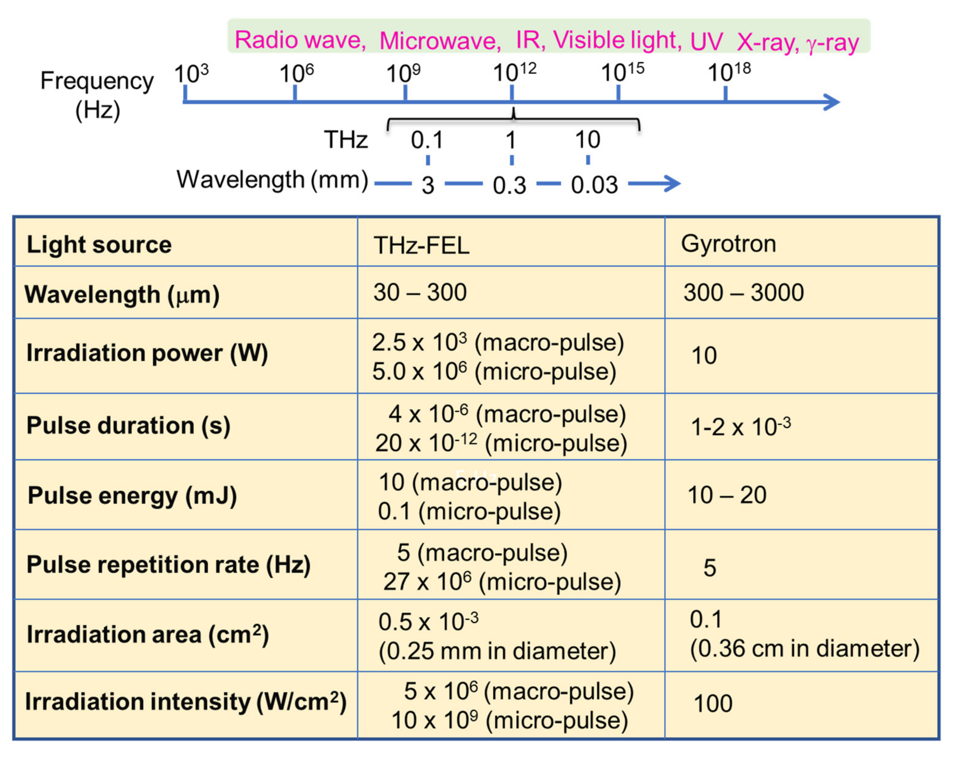 Biomolecules 12 01326 g001 Biomolecules 12 01326 g001