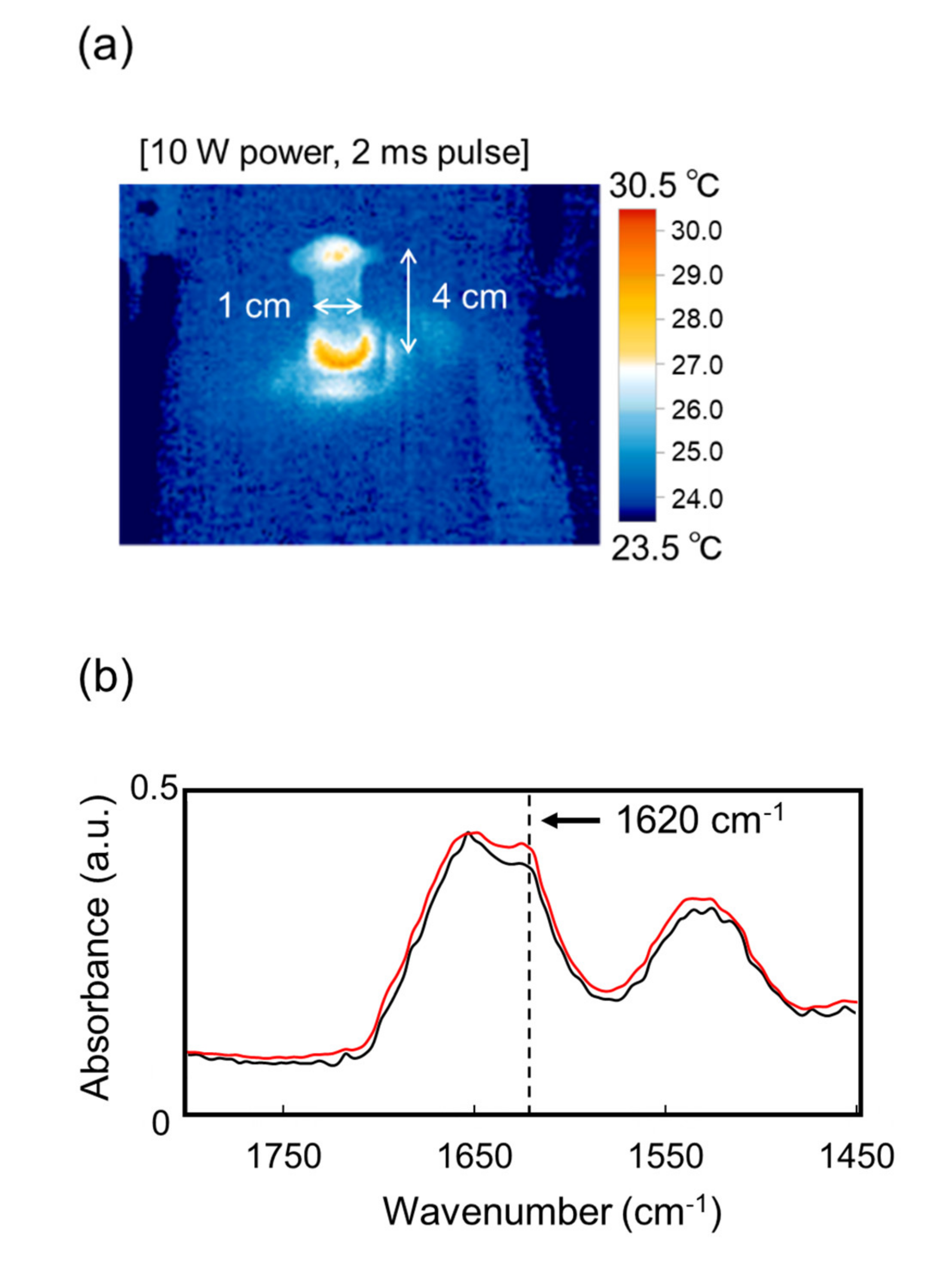 Biomolecules 12 01326 g003a Biomolecules 12 01326 g003a