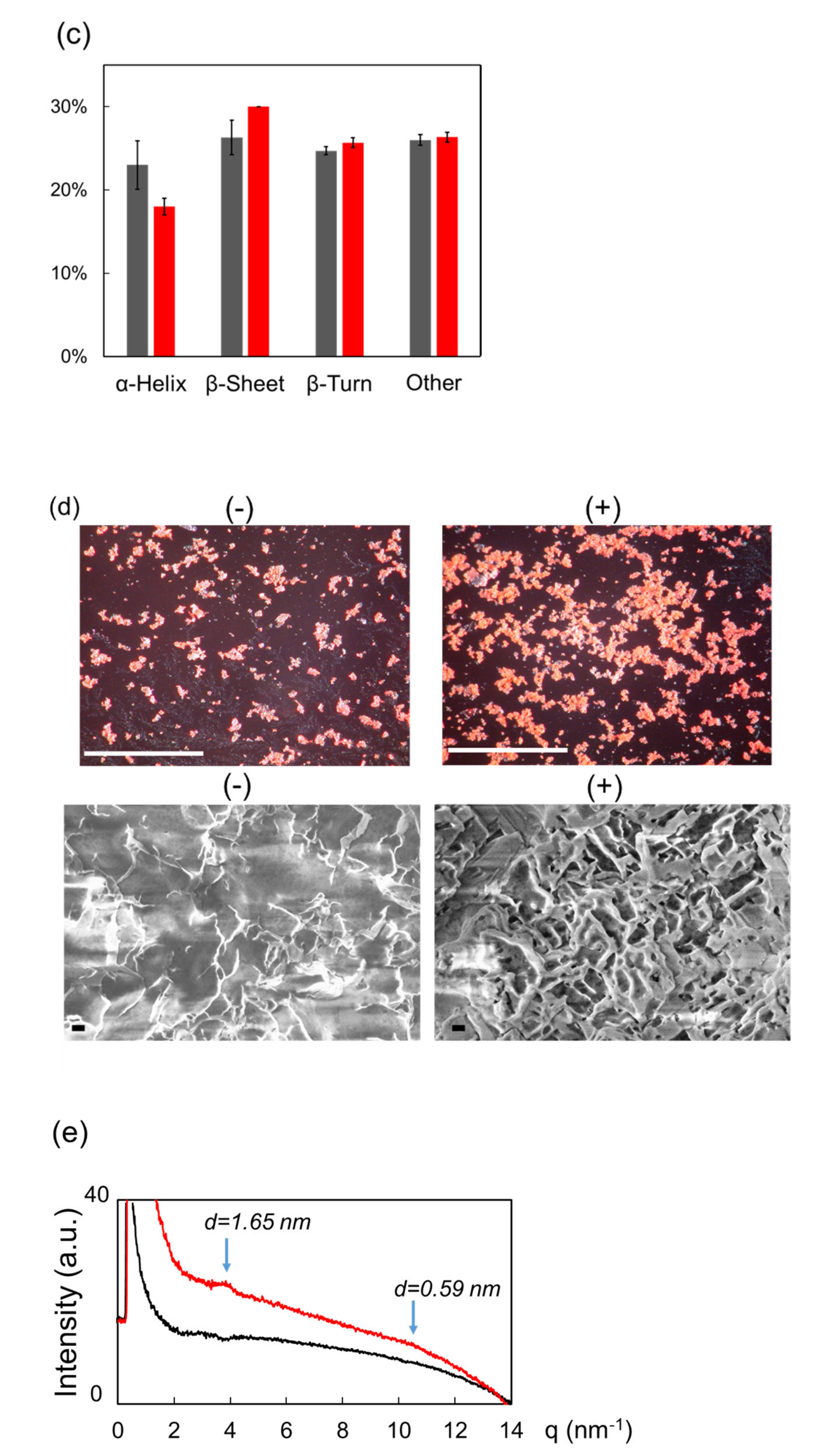 Biomolecules 12 01326 g003b Biomolecules 12 01326 g003b