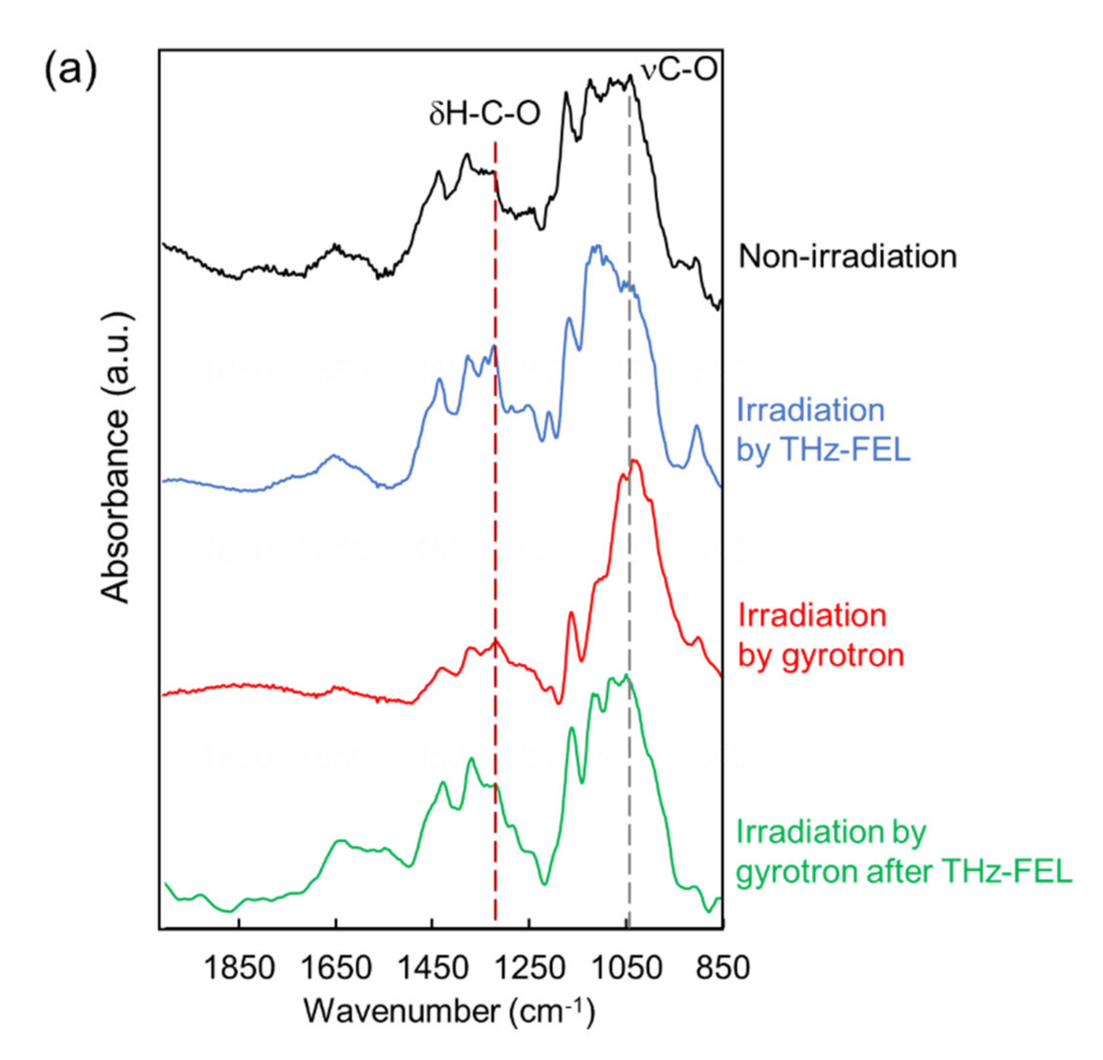Biomolecules 12 01326 g004a Biomolecules 12 01326 g004a