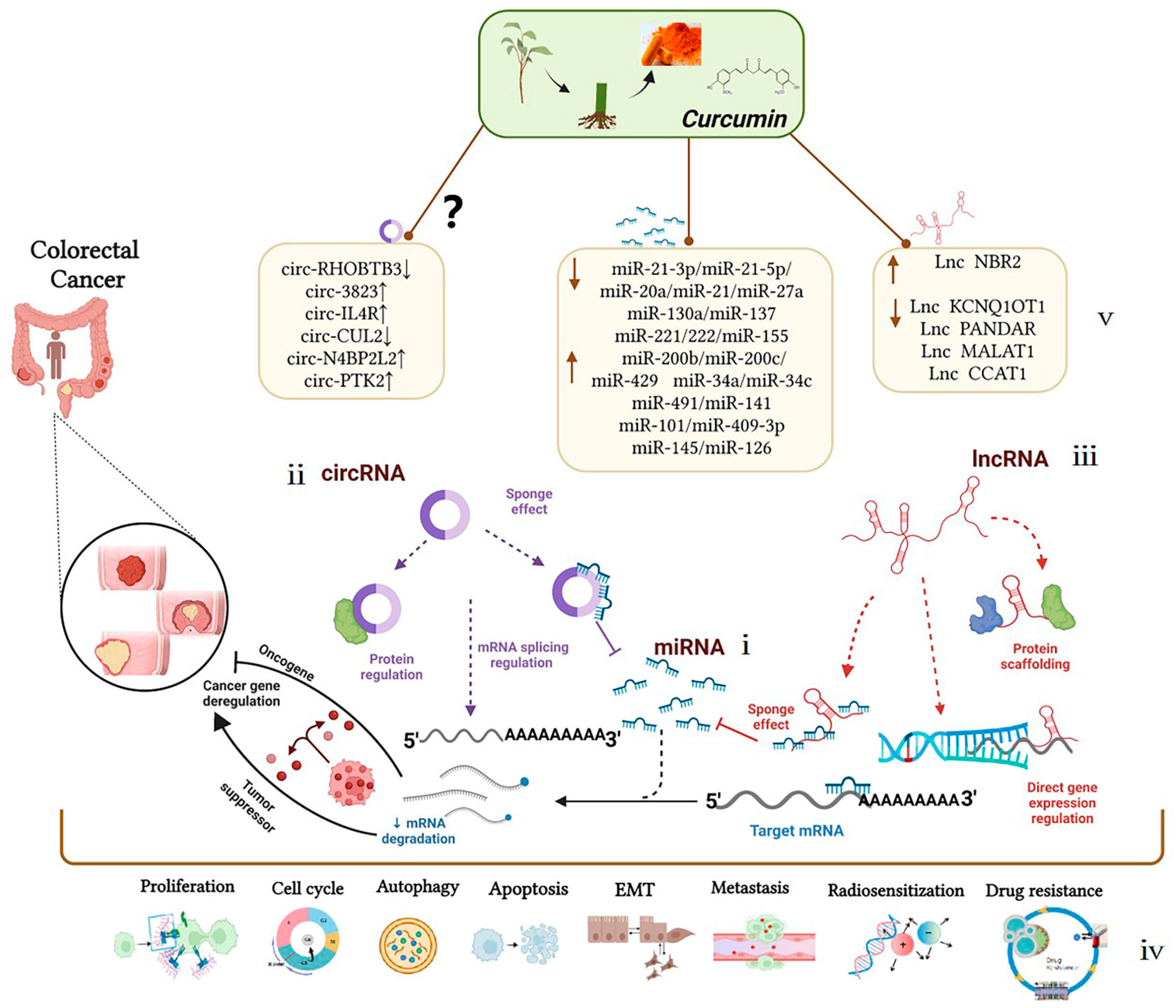 Biomolecules 12 01339 g002