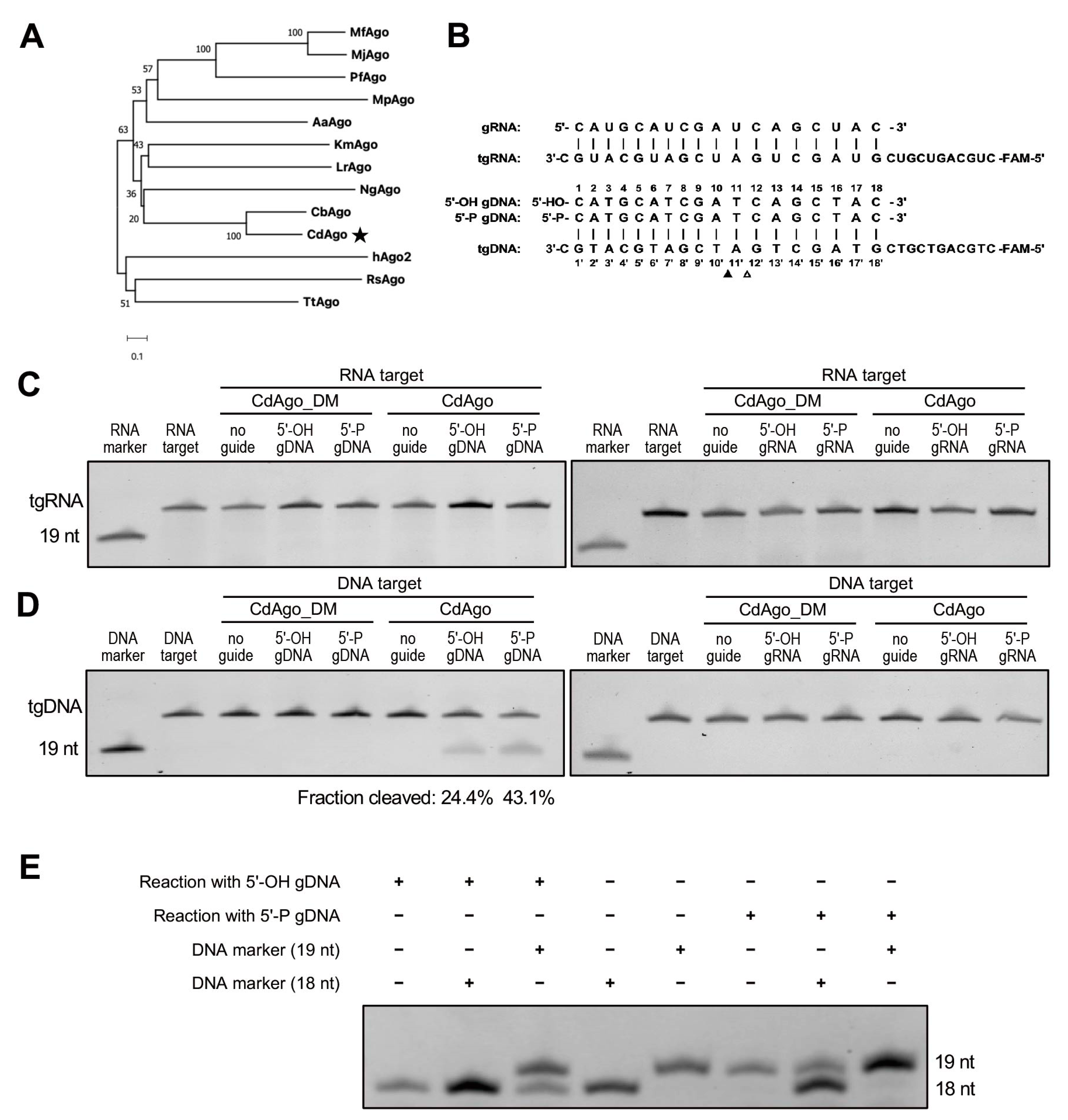 Biomolecules 12 01340 g001