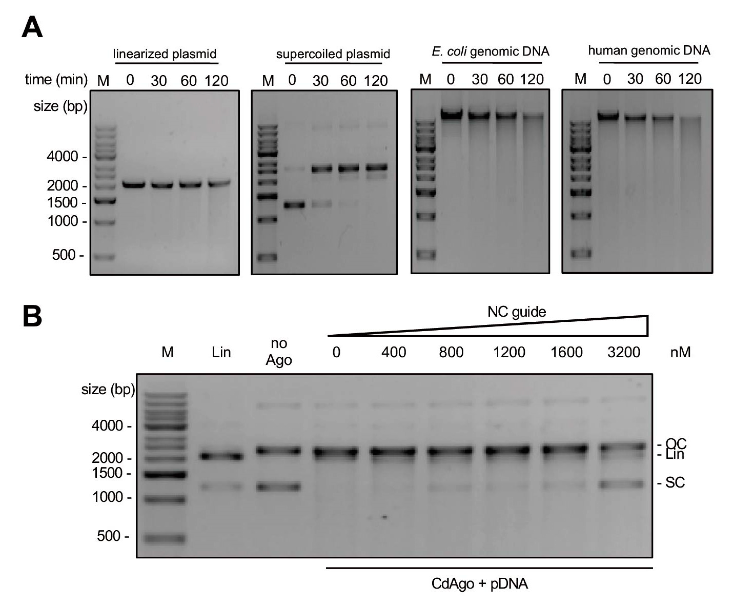 Biomolecules 12 01340 g006