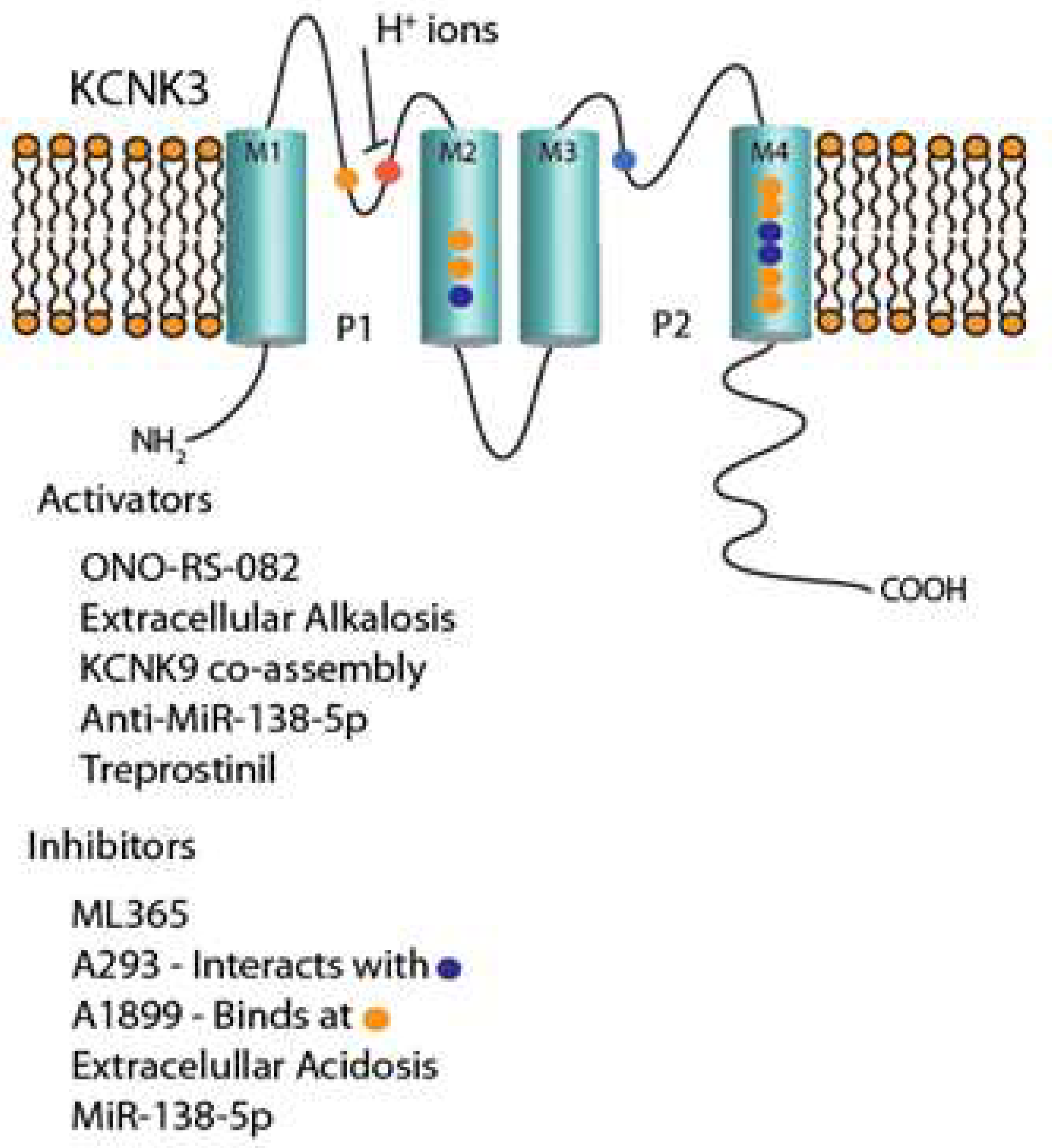 Biomolecules 12 01341 g001