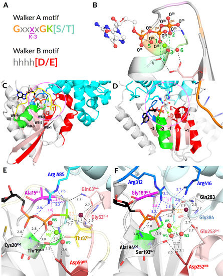 Biomolecules 12 01346 g001