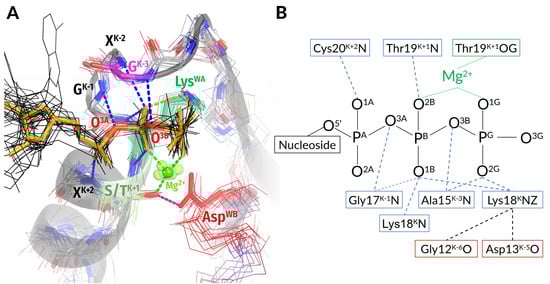 Biomolecules 12 01346 g002