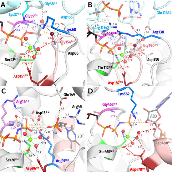 Biomolecules 12 01346 g004
