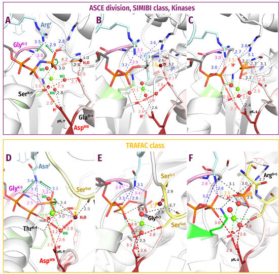 Biomolecules 12 01346 g011