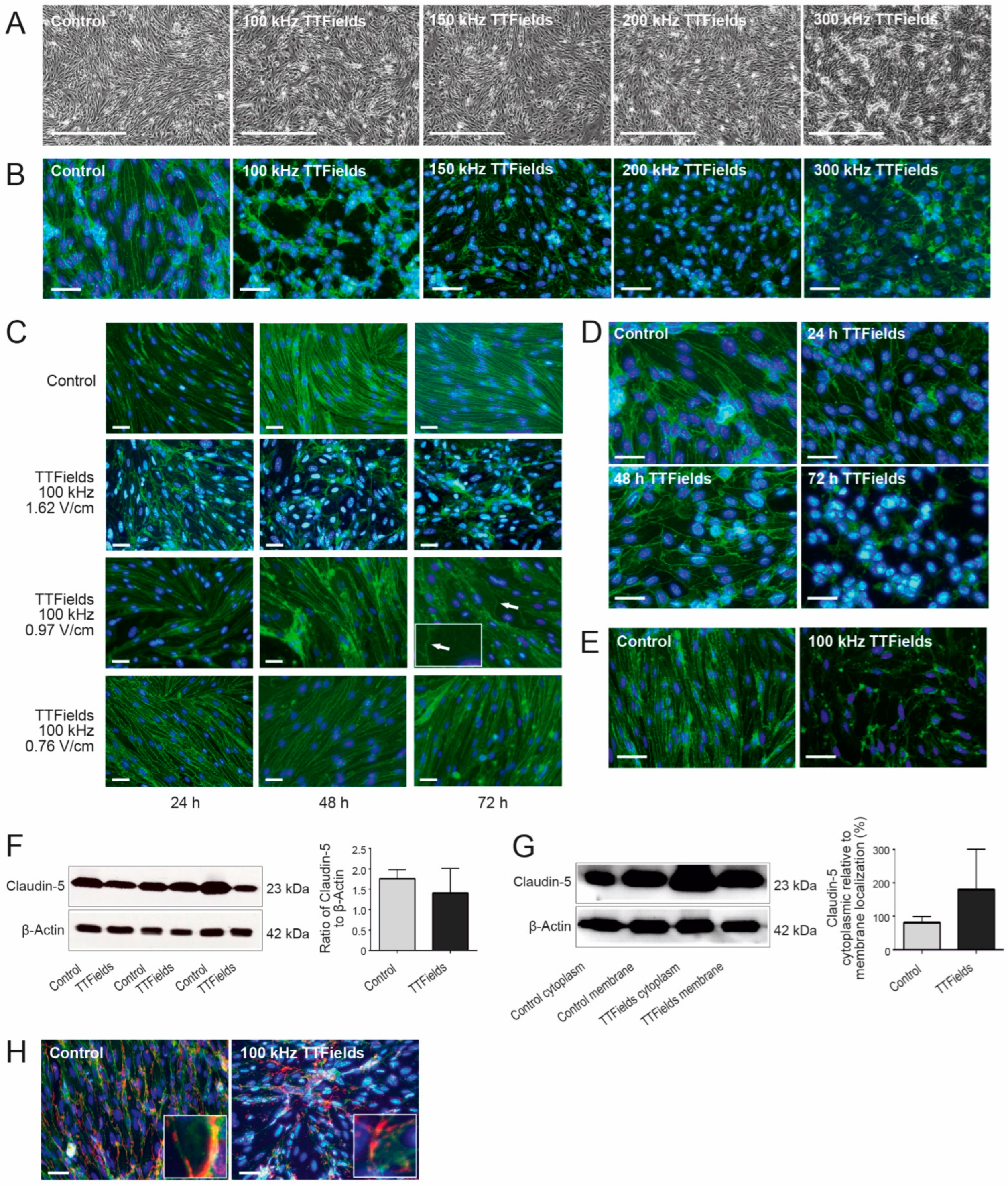 Biomolecules 12 01348 g001