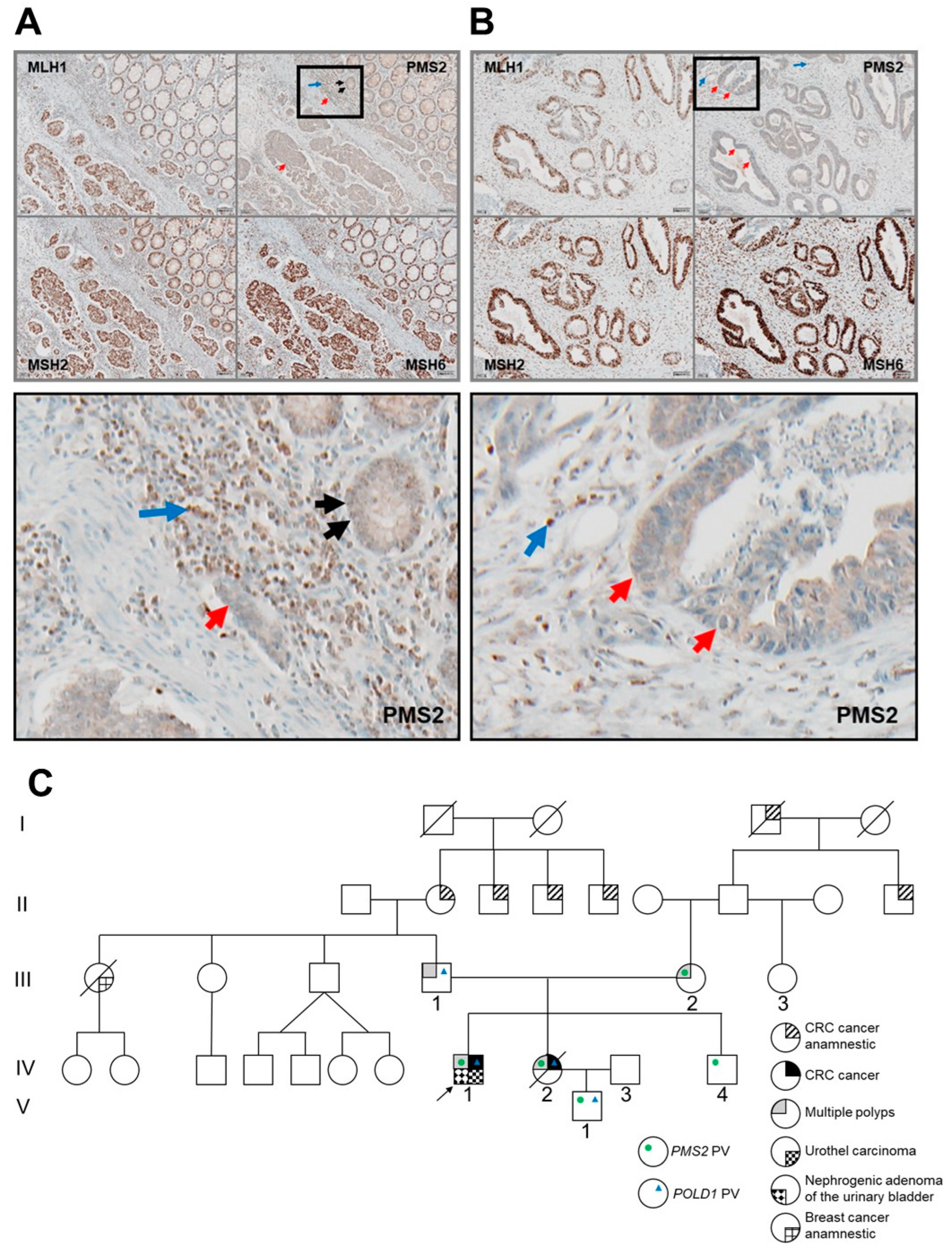 Biomolecules 12 01350 g001 Biomolecules 12 01350 g001