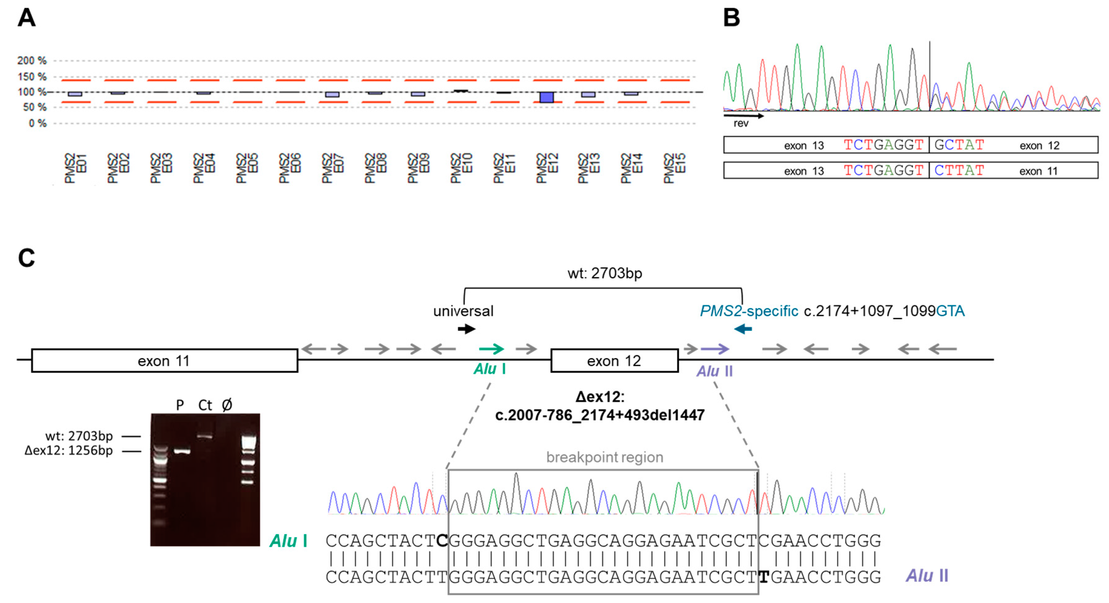 Biomolecules 12 01350 g002 Biomolecules 12 01350 g002