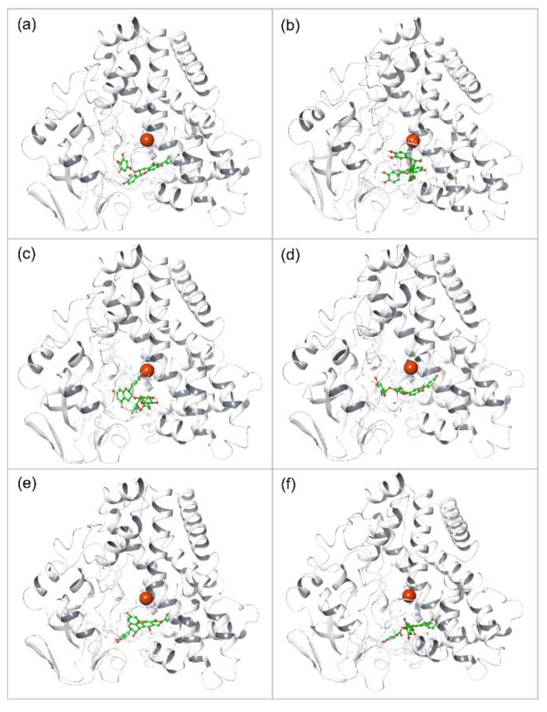 Biomolecules 12 01356 g001