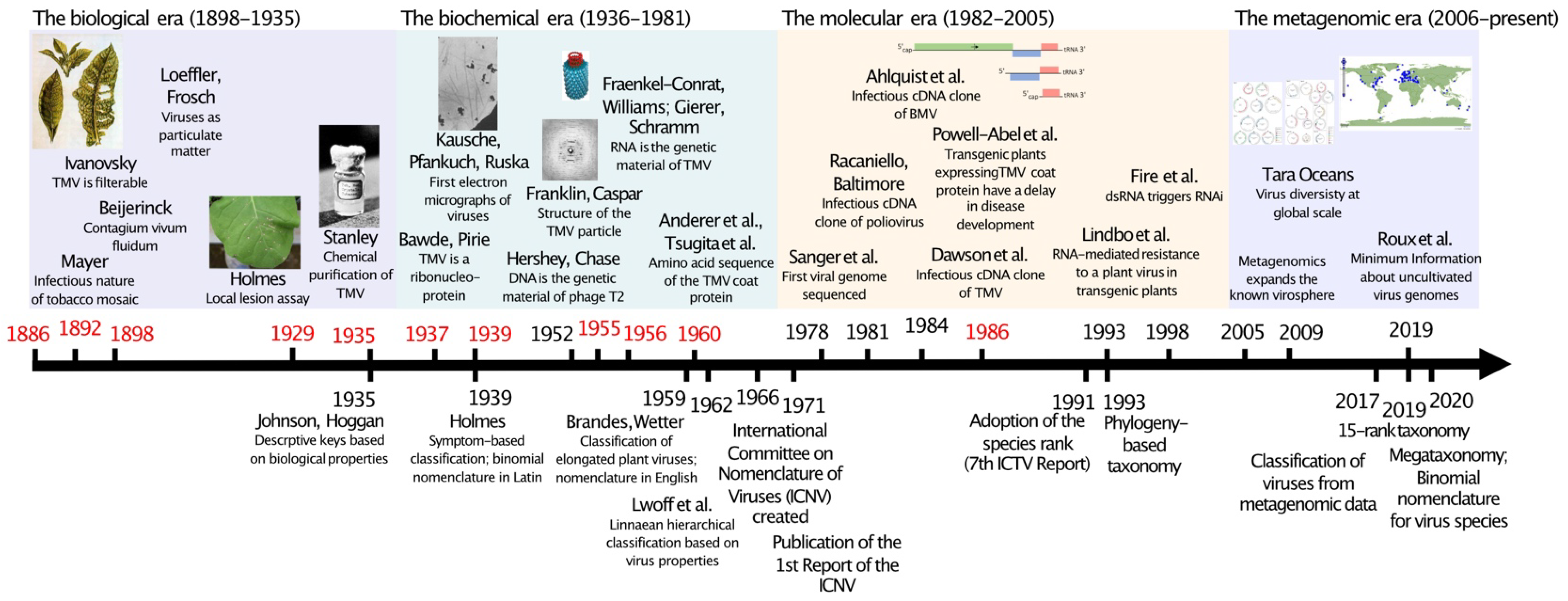 Biomolecules 12 01363 g001