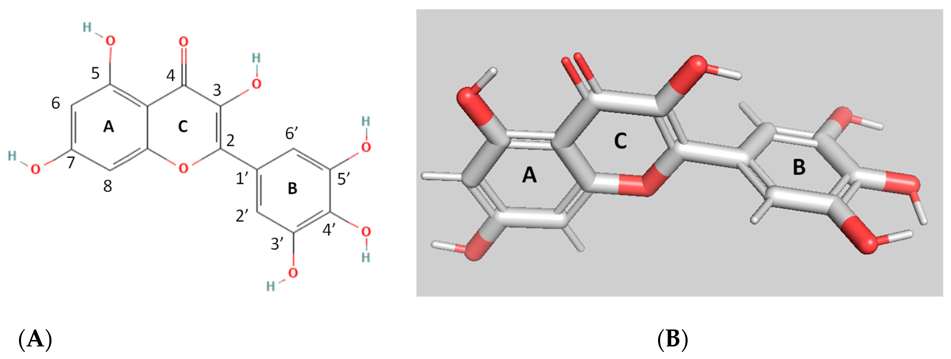 Biomolecules 12 01364 g001