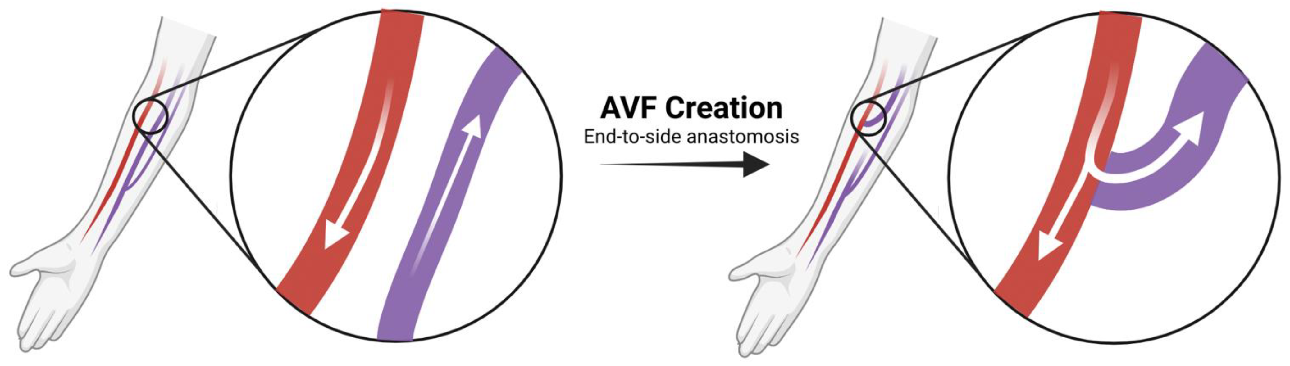 Biomolecules 12 01367 g001