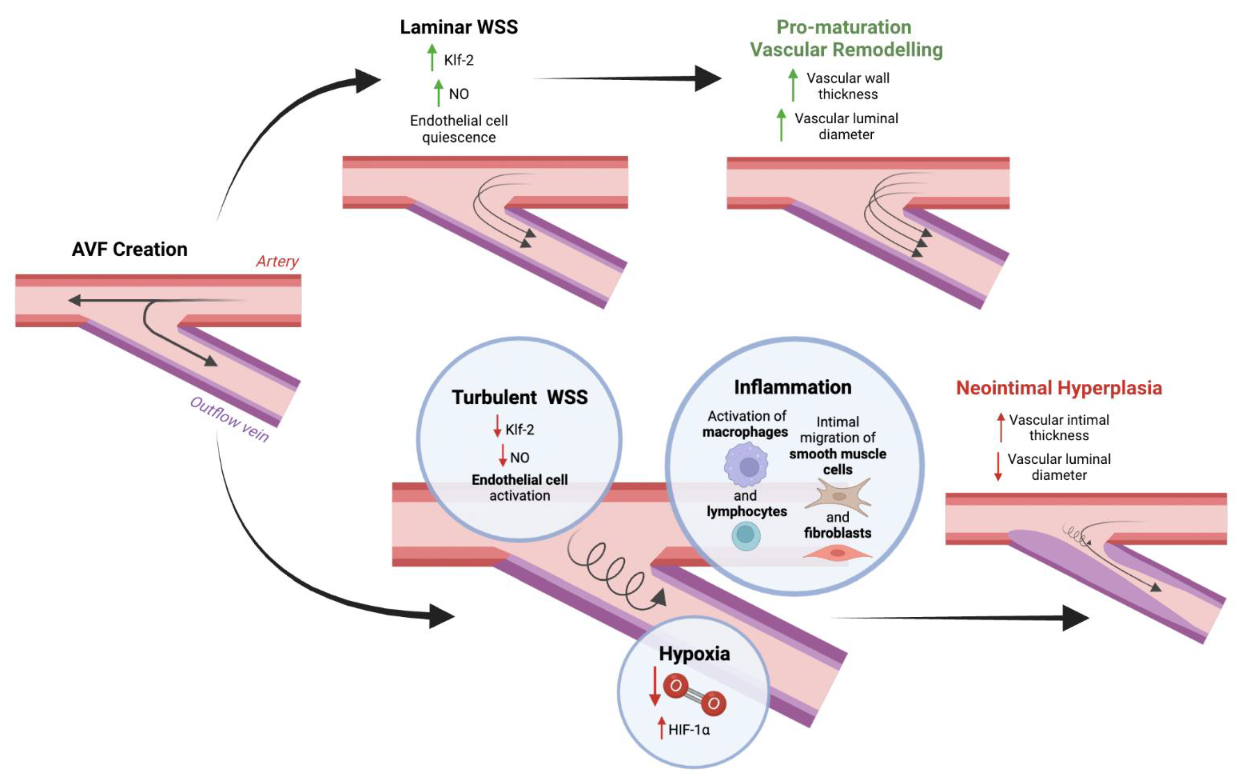 Biomolecules 12 01367 g002
