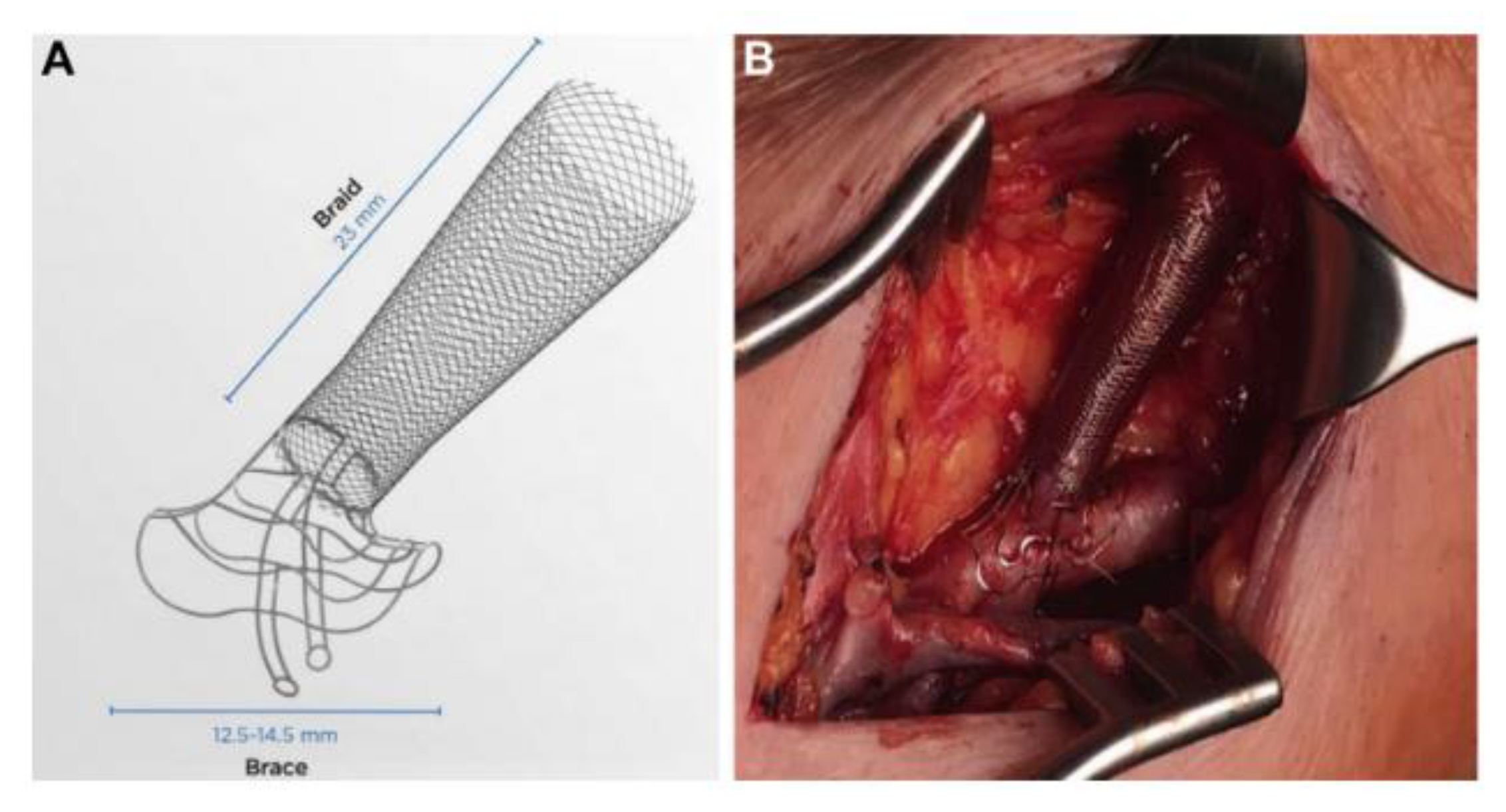 Biomolecules 12 01367 g003