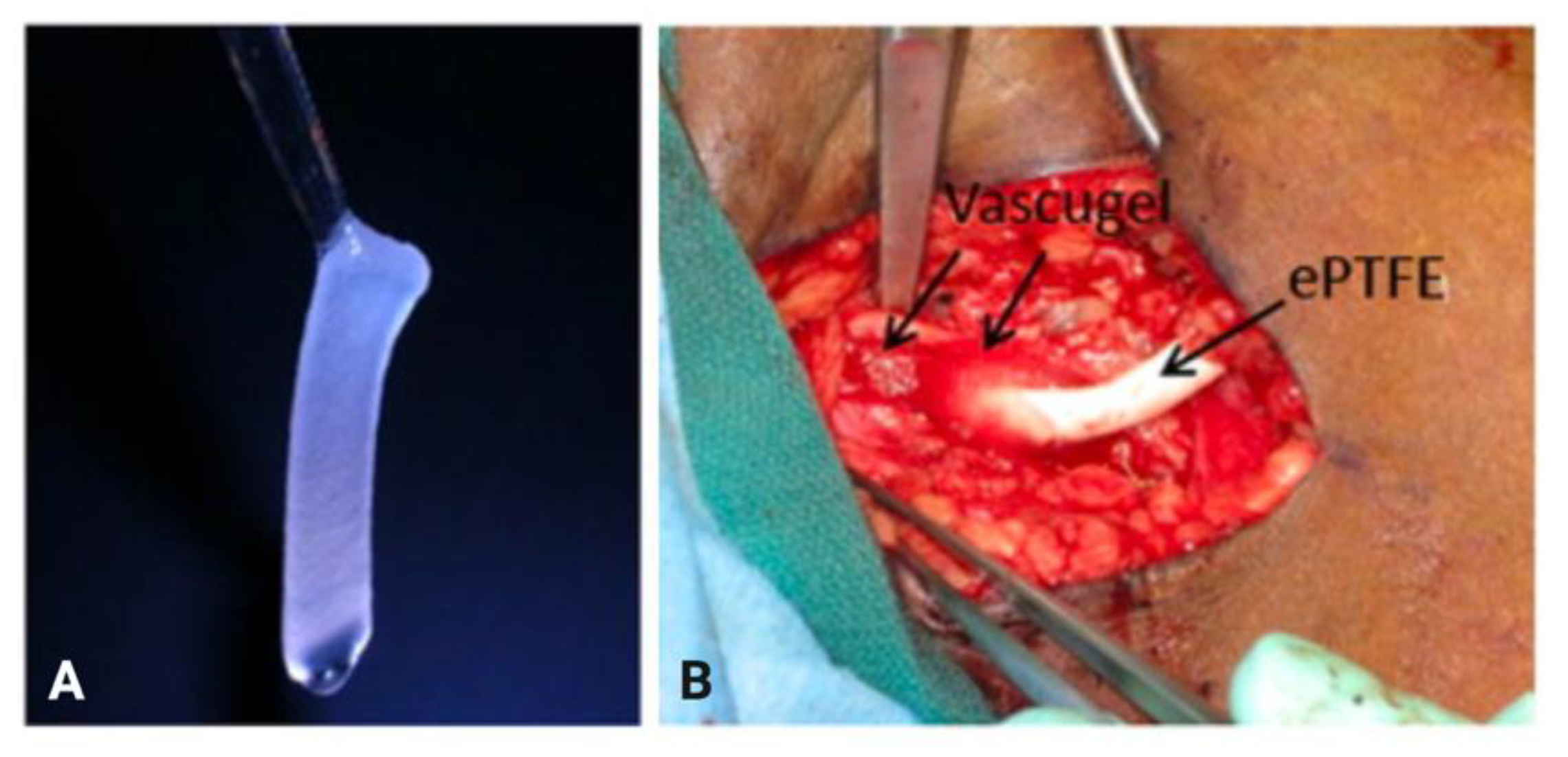 Biomolecules 12 01367 g007