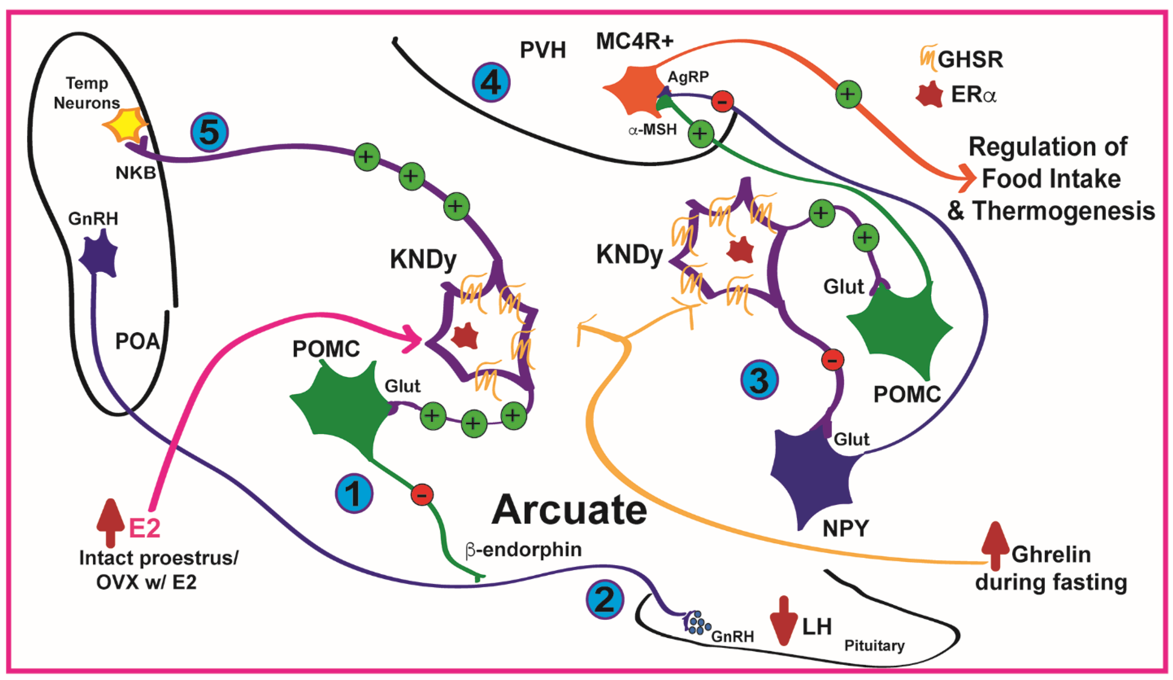 Biomolecules 12 01370 g009