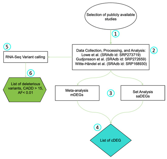 Biomolecules 12 01371 g001